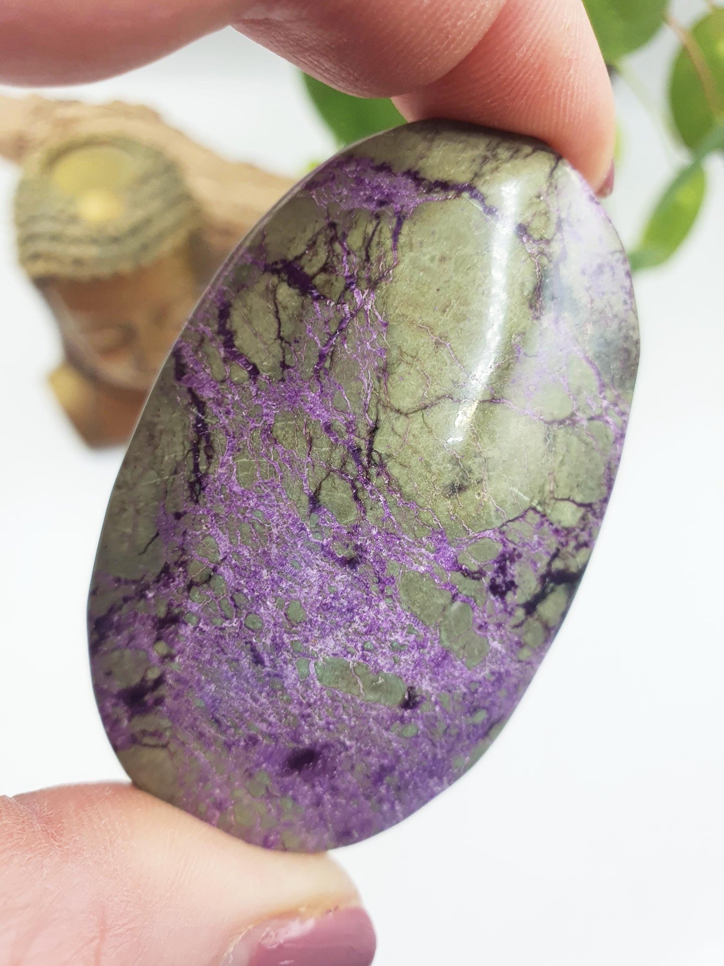 Atlantisite Palm