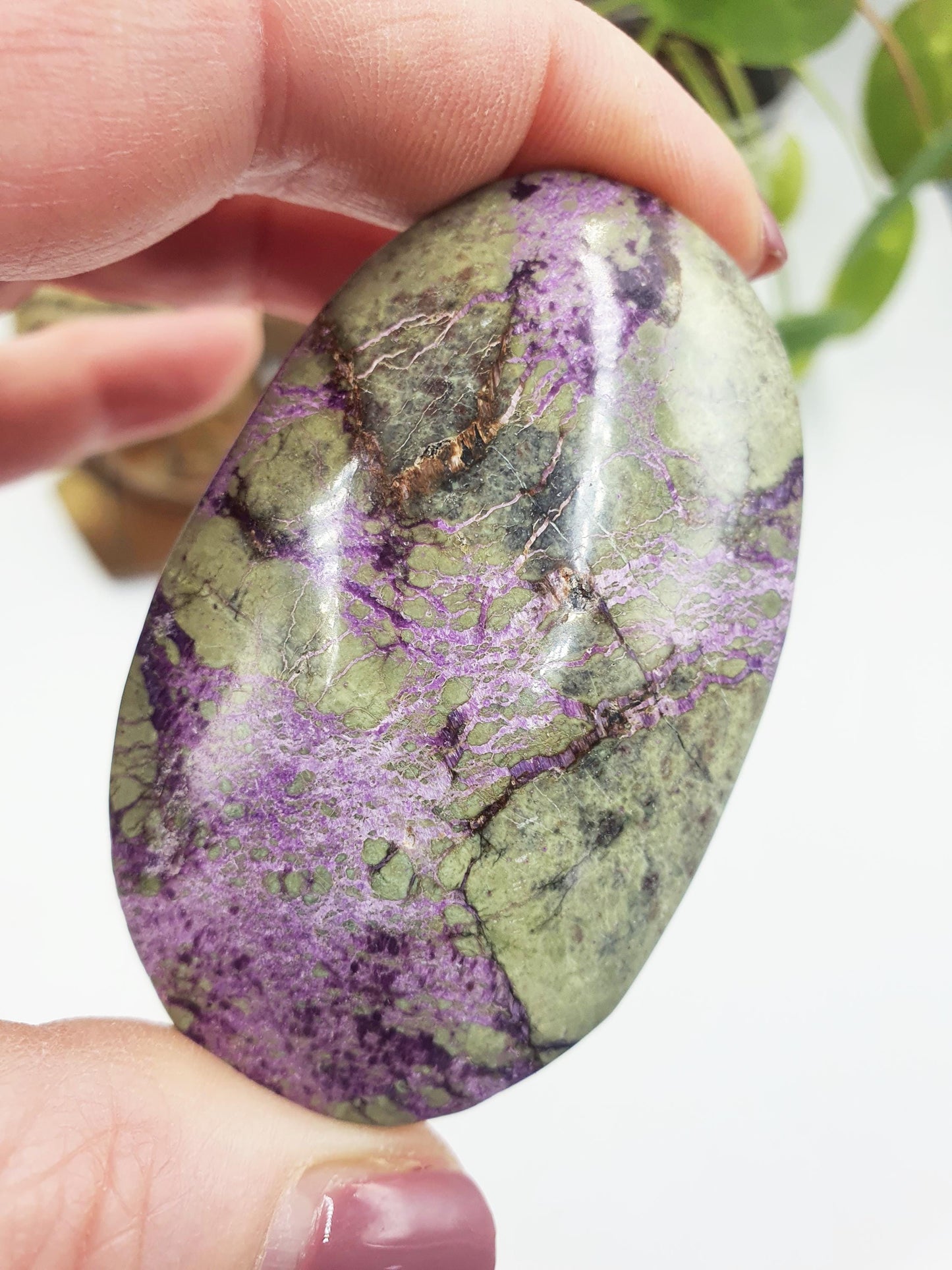 Atlantisite Palm