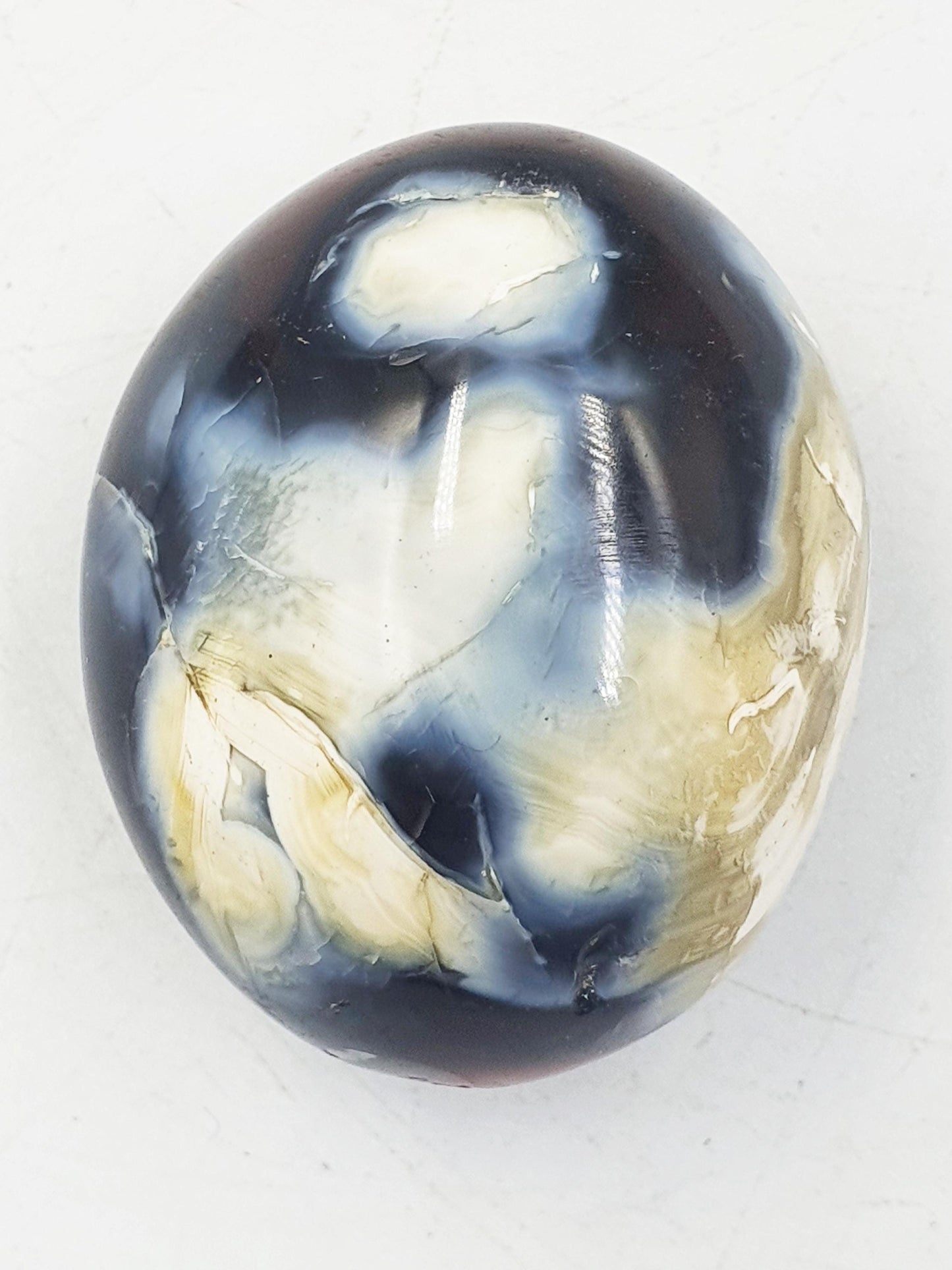 Carnelian Palm