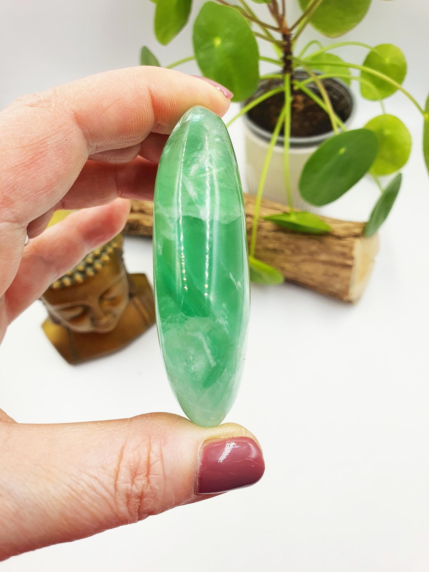 Large Green Fluorite Palm with huge rainbows