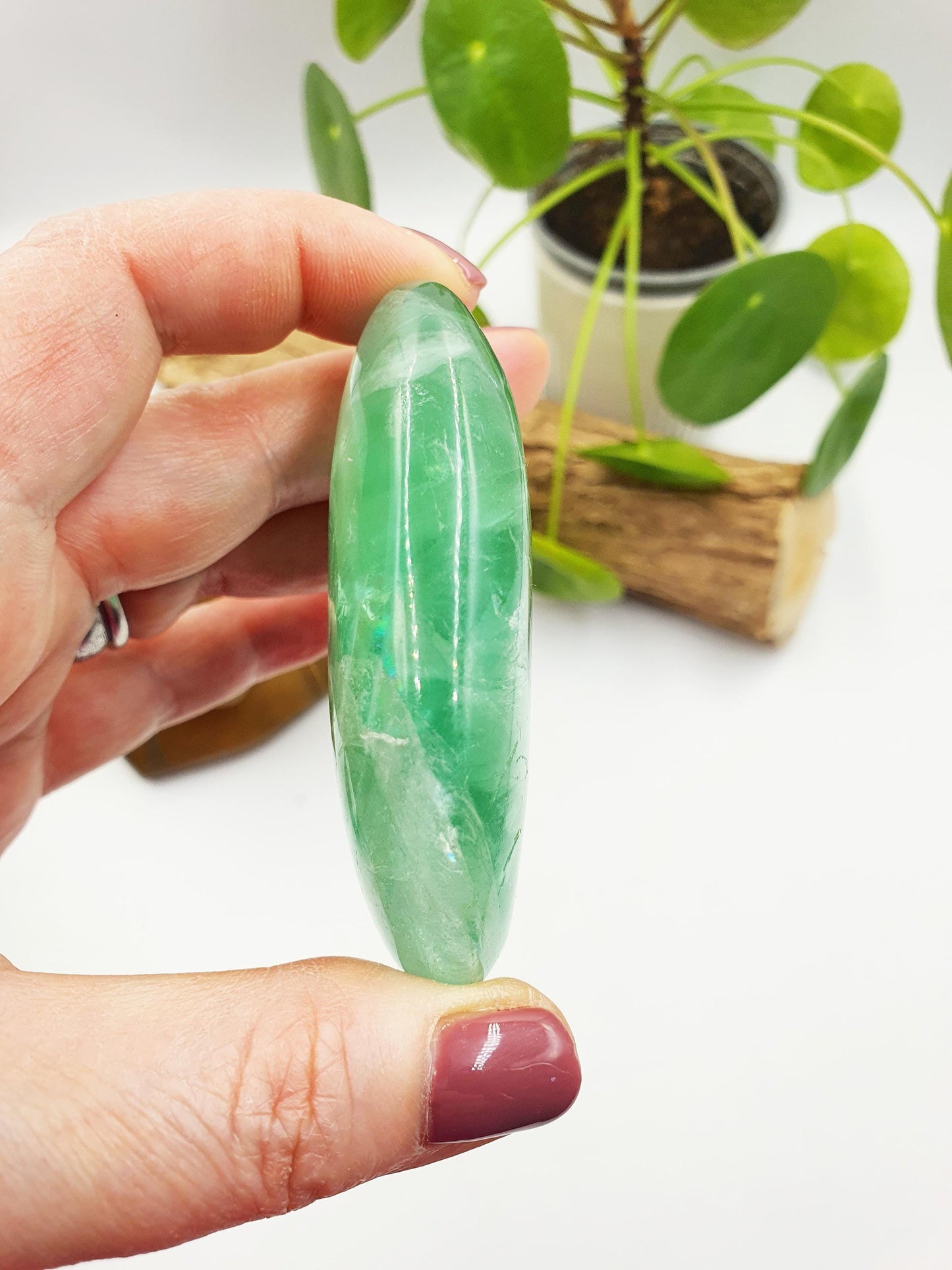 Large Green Fluorite Palm with huge rainbows