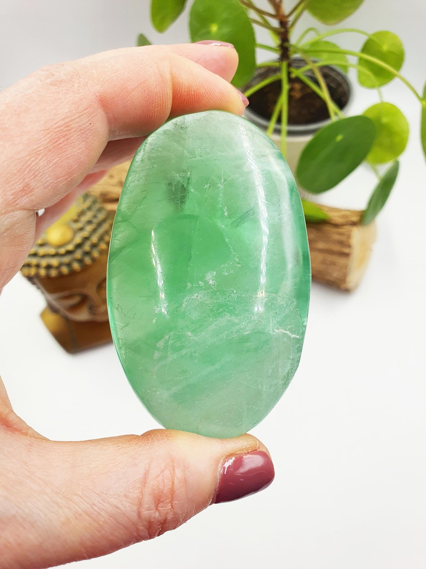Large Green Fluorite Palm with huge rainbows