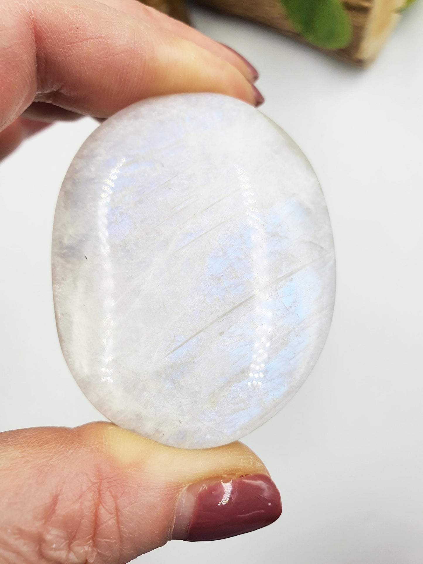 High Grade Flashy Blue Moonstone Palm