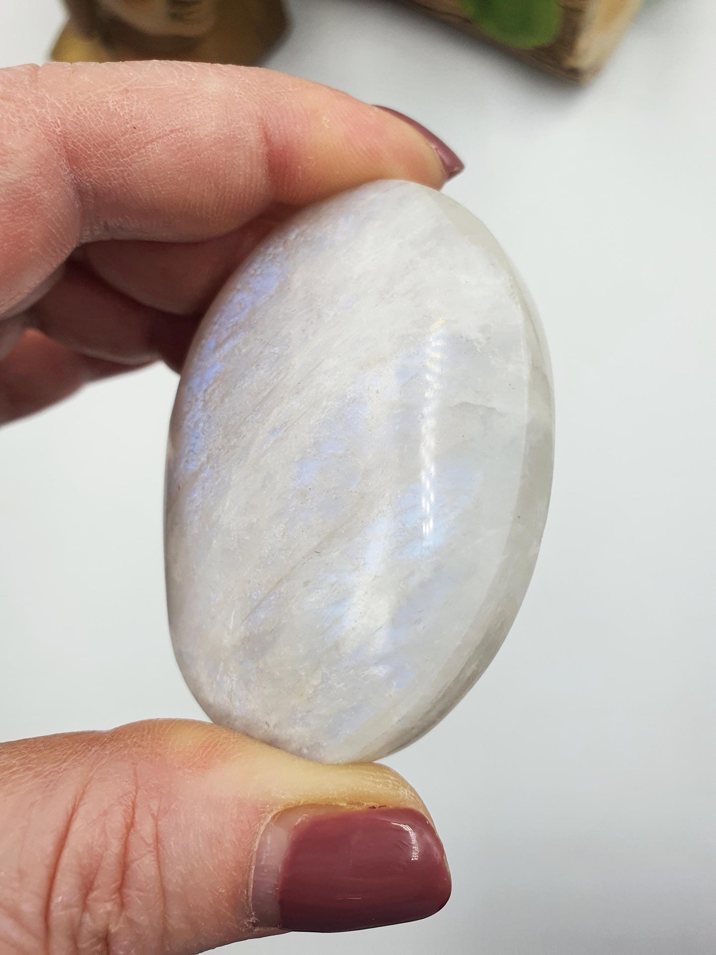 High Grade Flashy Blue Moonstone Palm