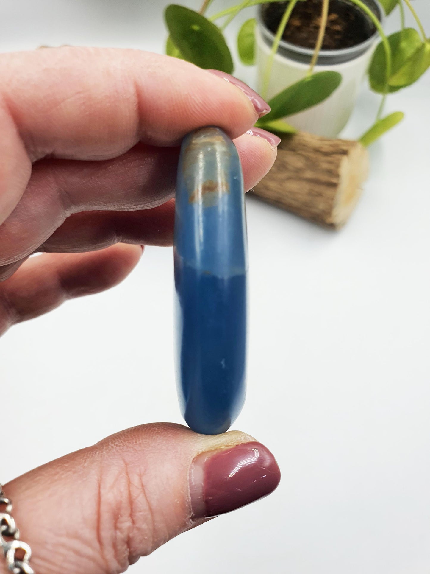 Blue Onyx Palm