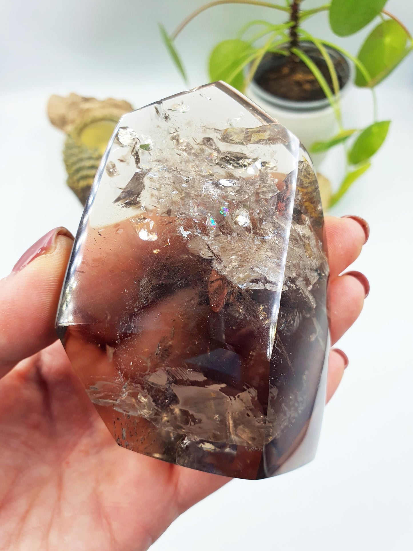 Amazing Large Smoky Quartz Freeform with inclusions and rainbow flashes