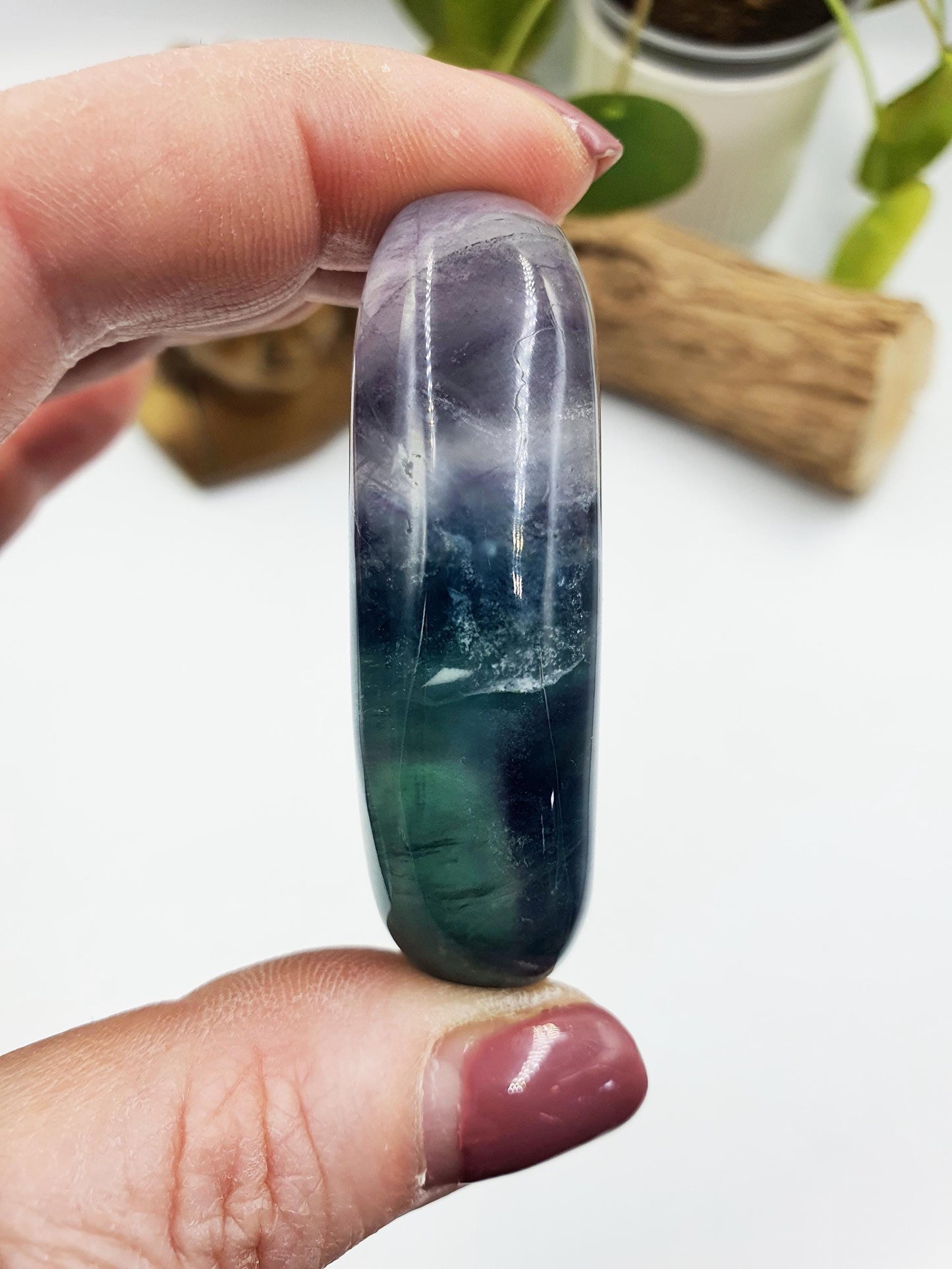 Flashy Fluorite Palm