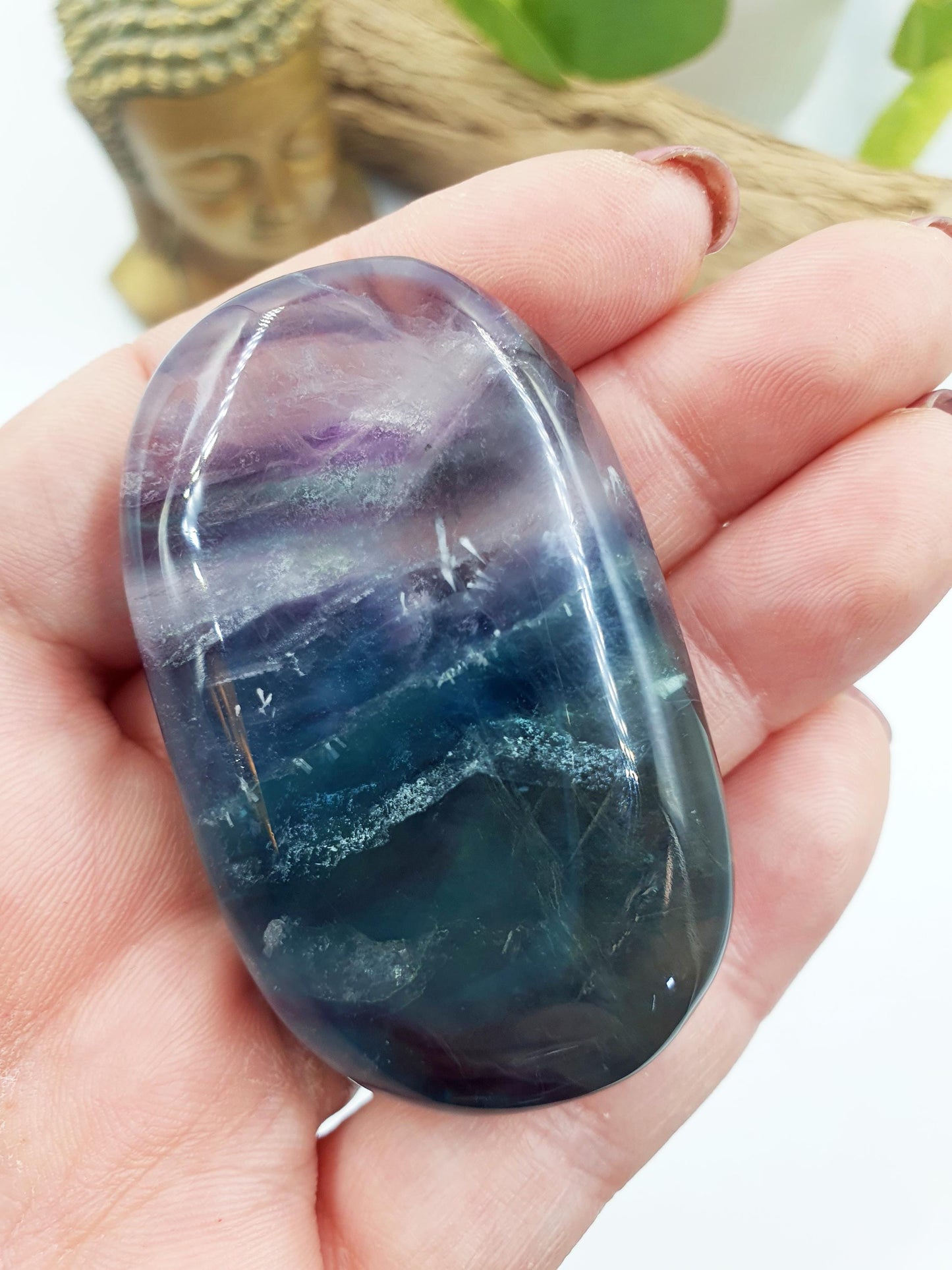 Flashy Fluorite Palm