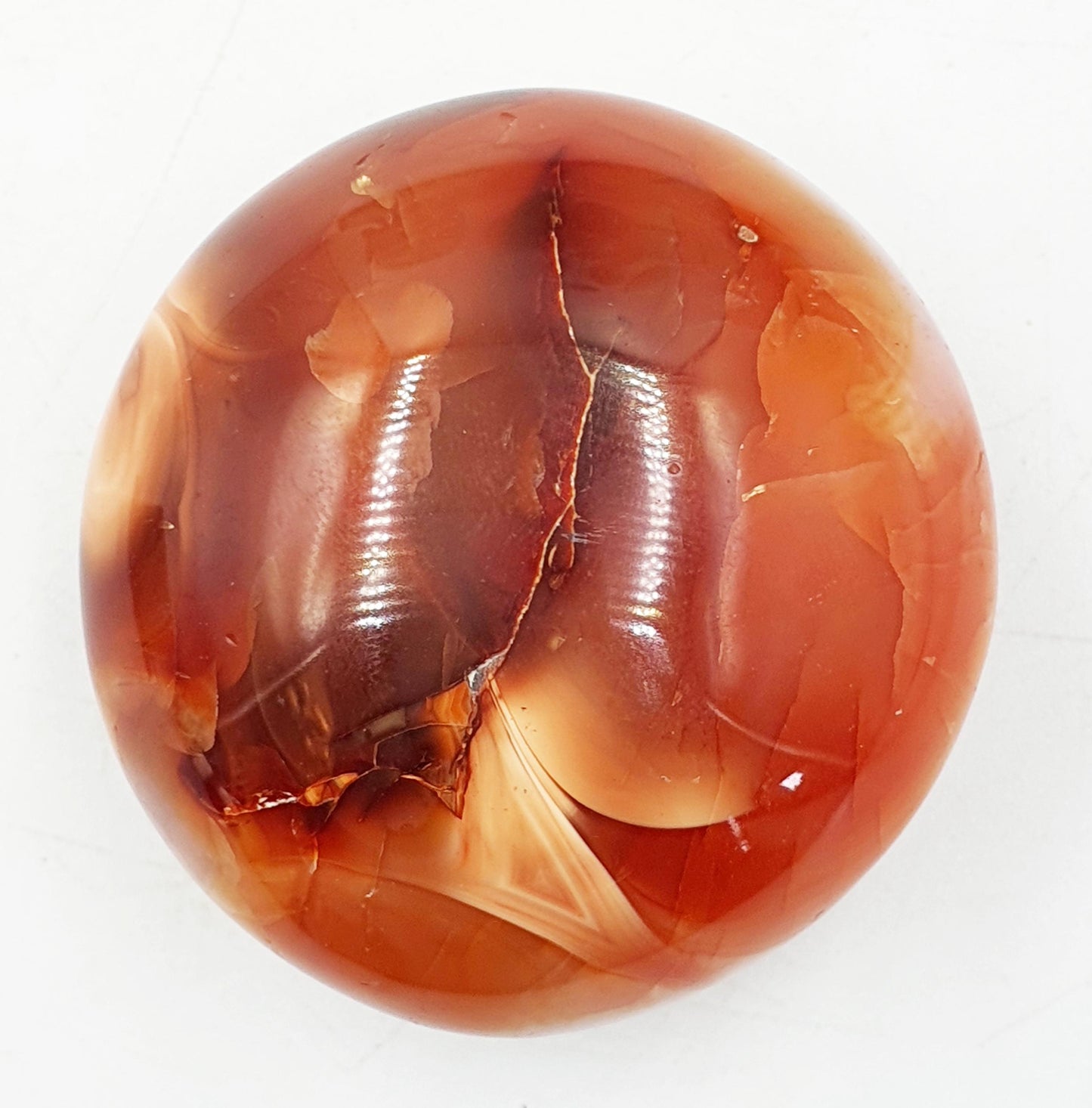 Carnelian Palm