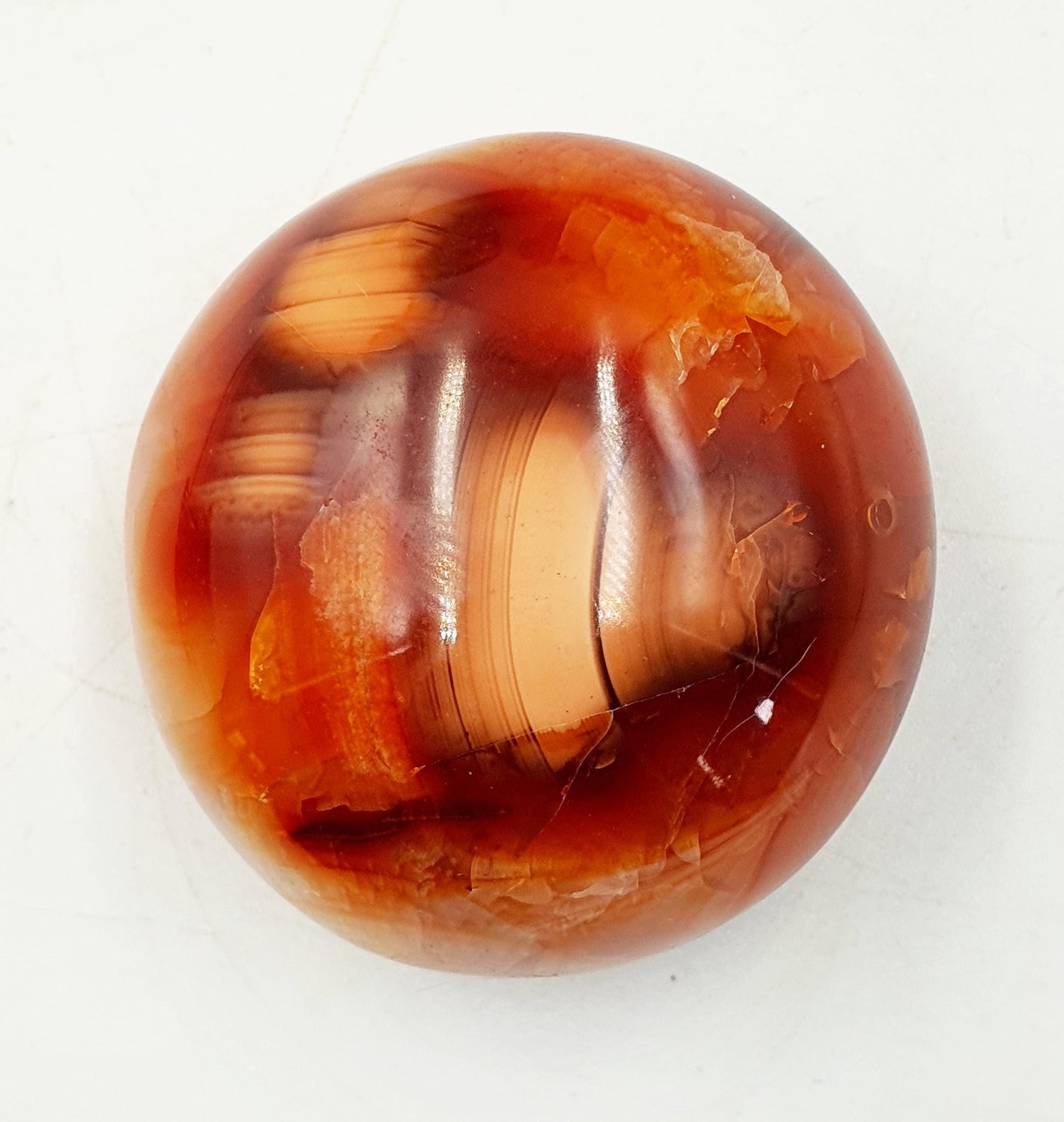 Carnelian Palm