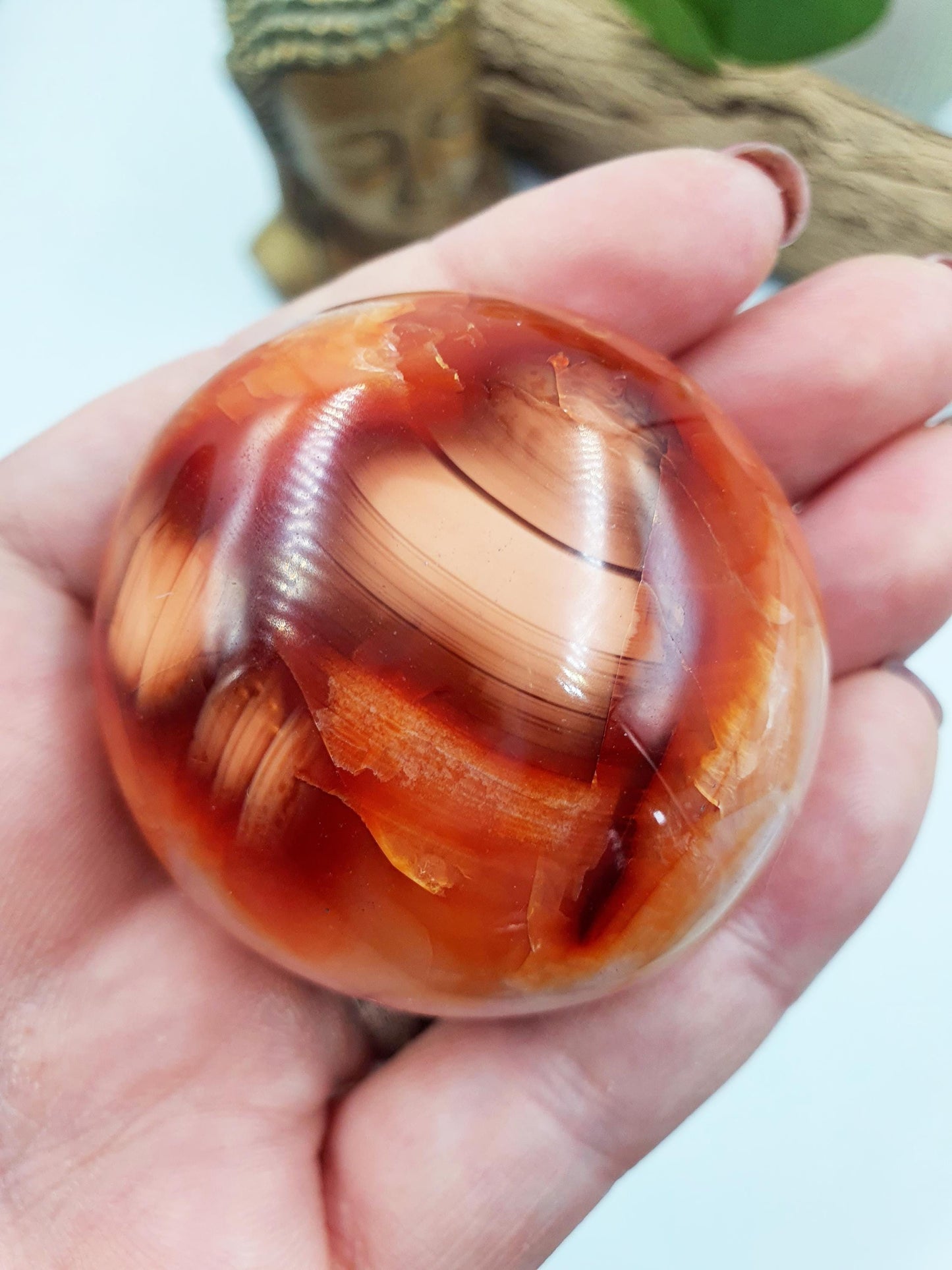 Carnelian Palm