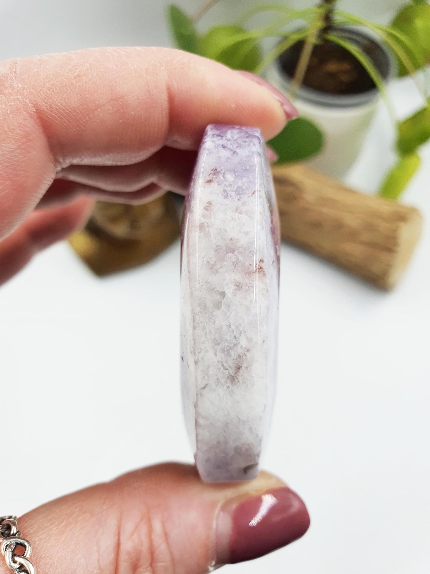 Dream Amethyst Palm