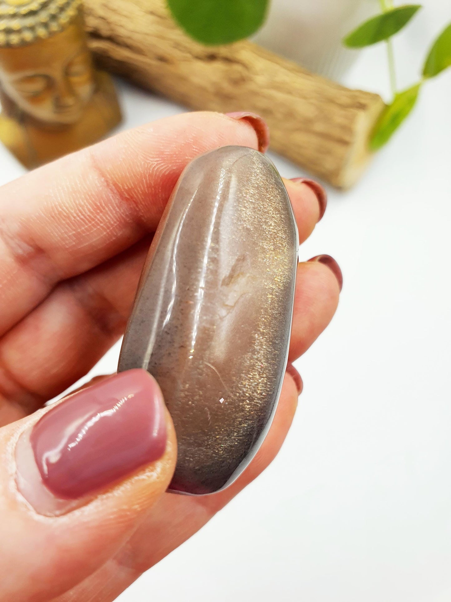 Flashy Moonstone and Sunstone Palm