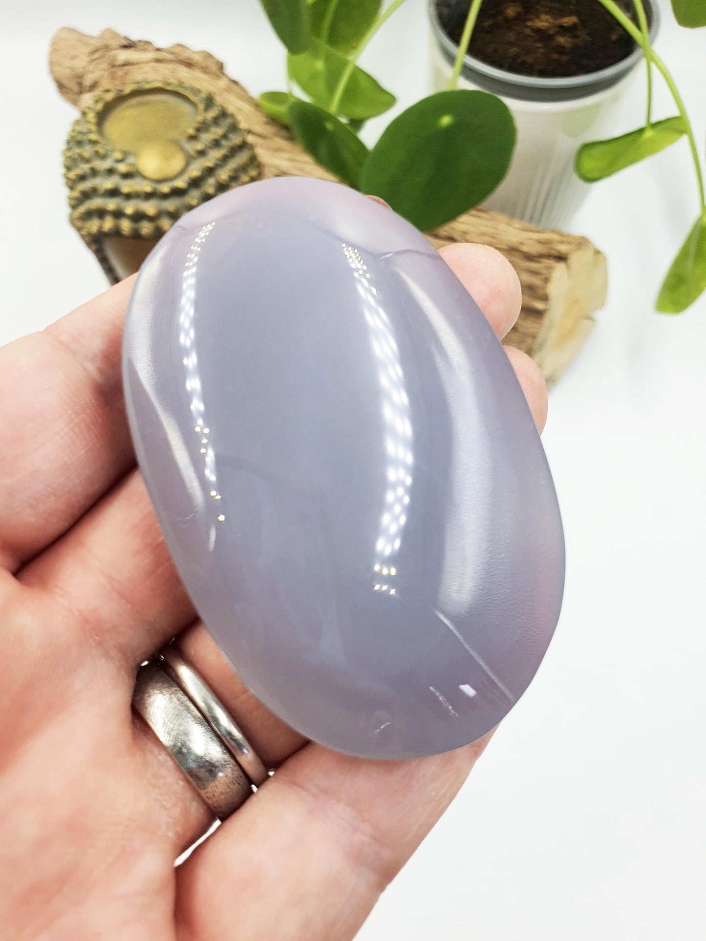 Blue Chalcedony Palm