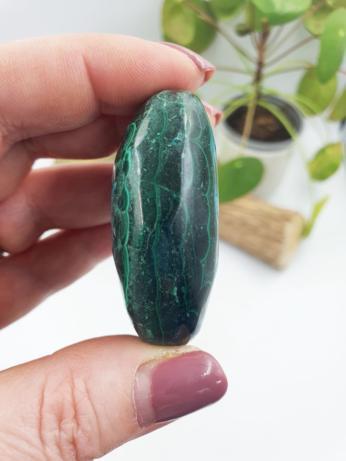 Chrysocolla Palm