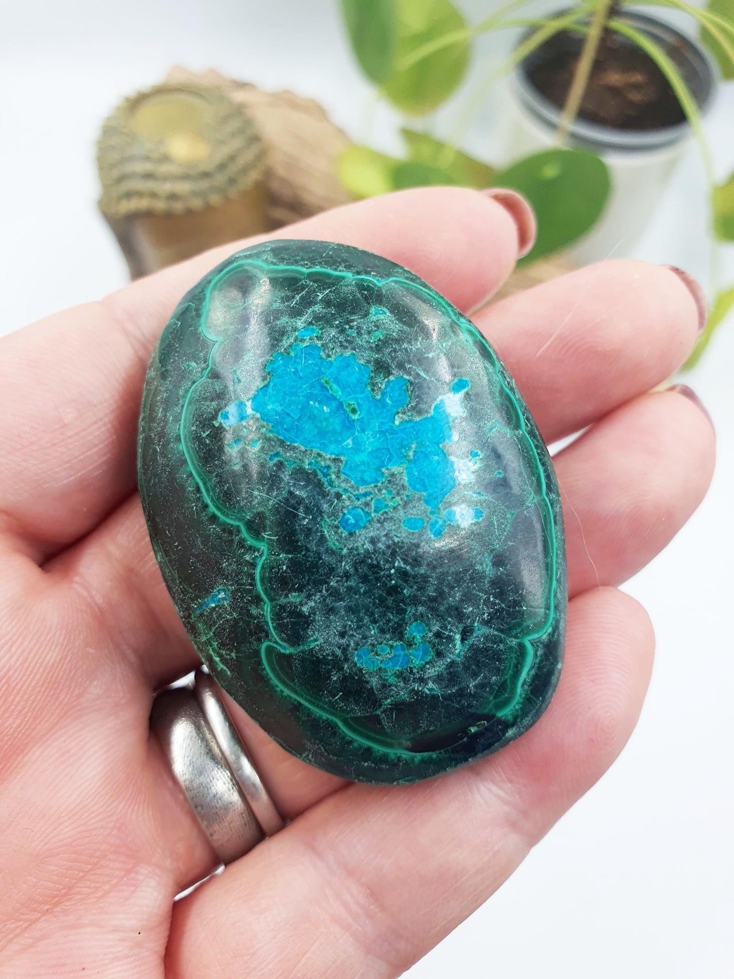 Chrysocolla Palm