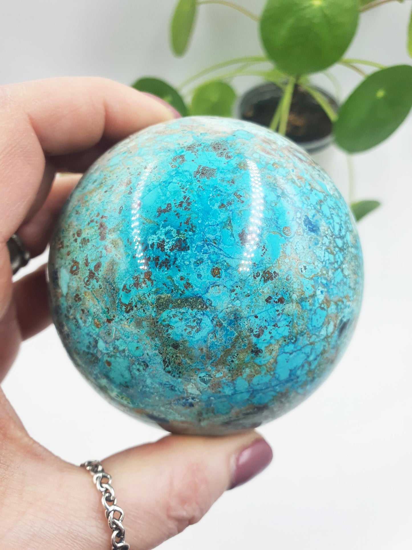Large Quantum Quattro Sphere