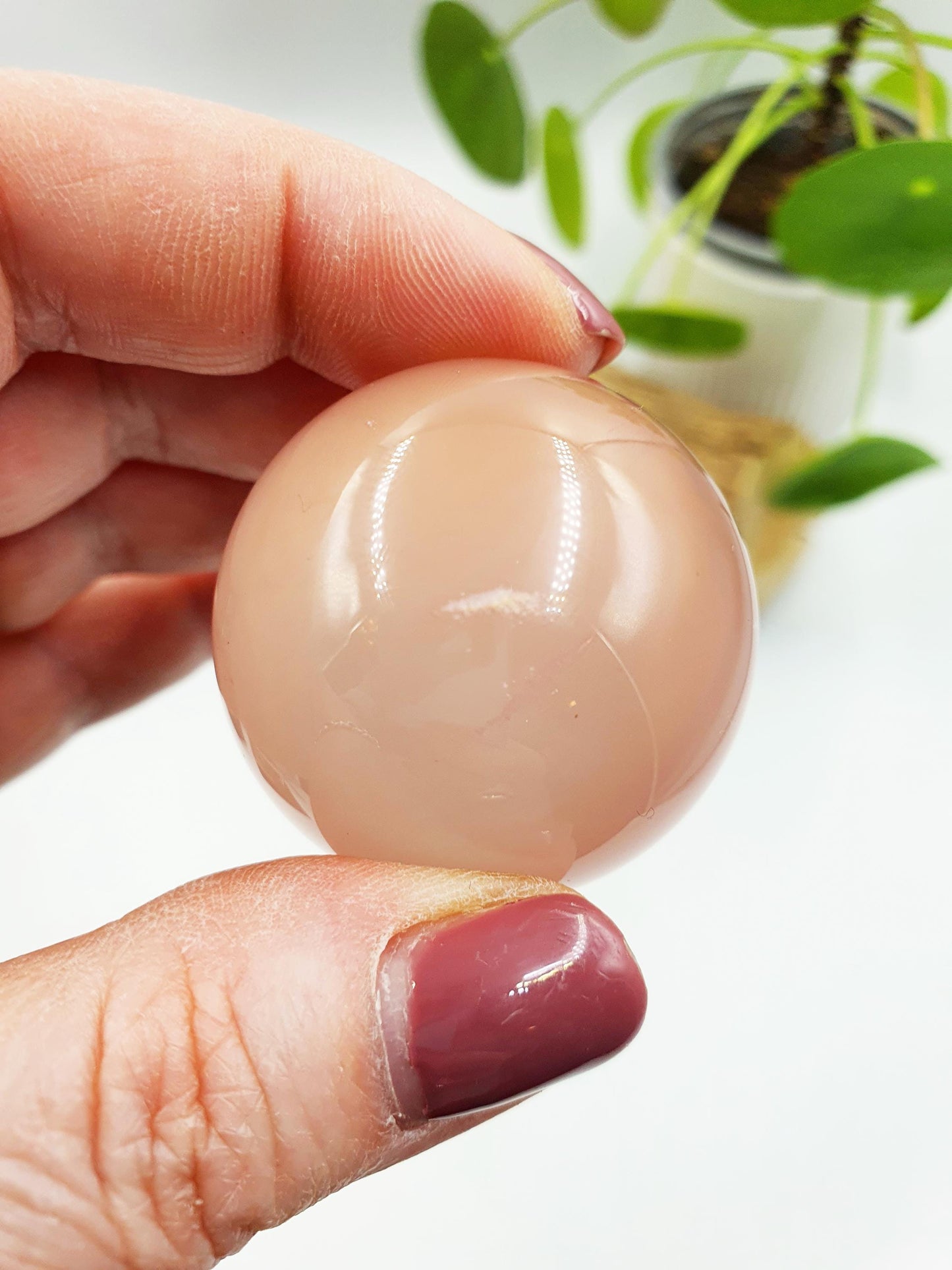 Rare Rose Quartz with Garden and strong Starlight and rainbow