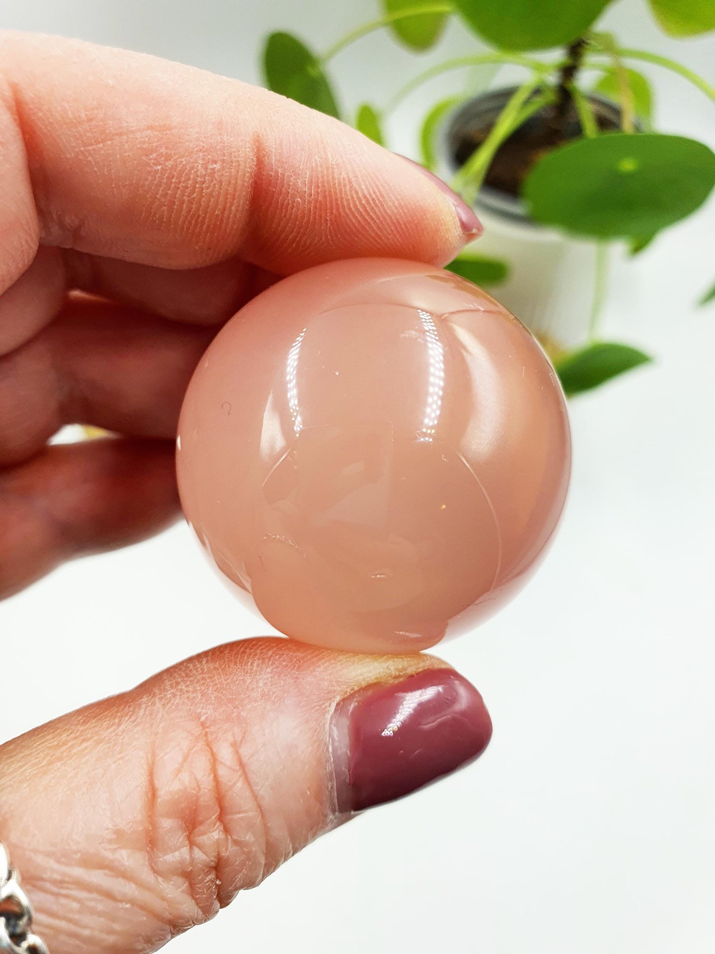 Rare Rose Quartz with Garden and strong Starlight and rainbow