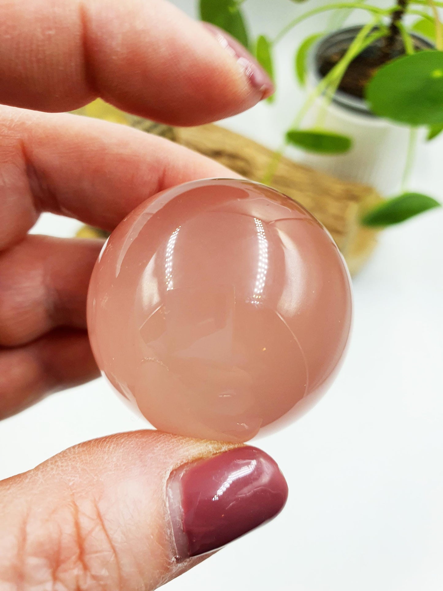 Rare Rose Quartz with Garden and strong Starlight and rainbow