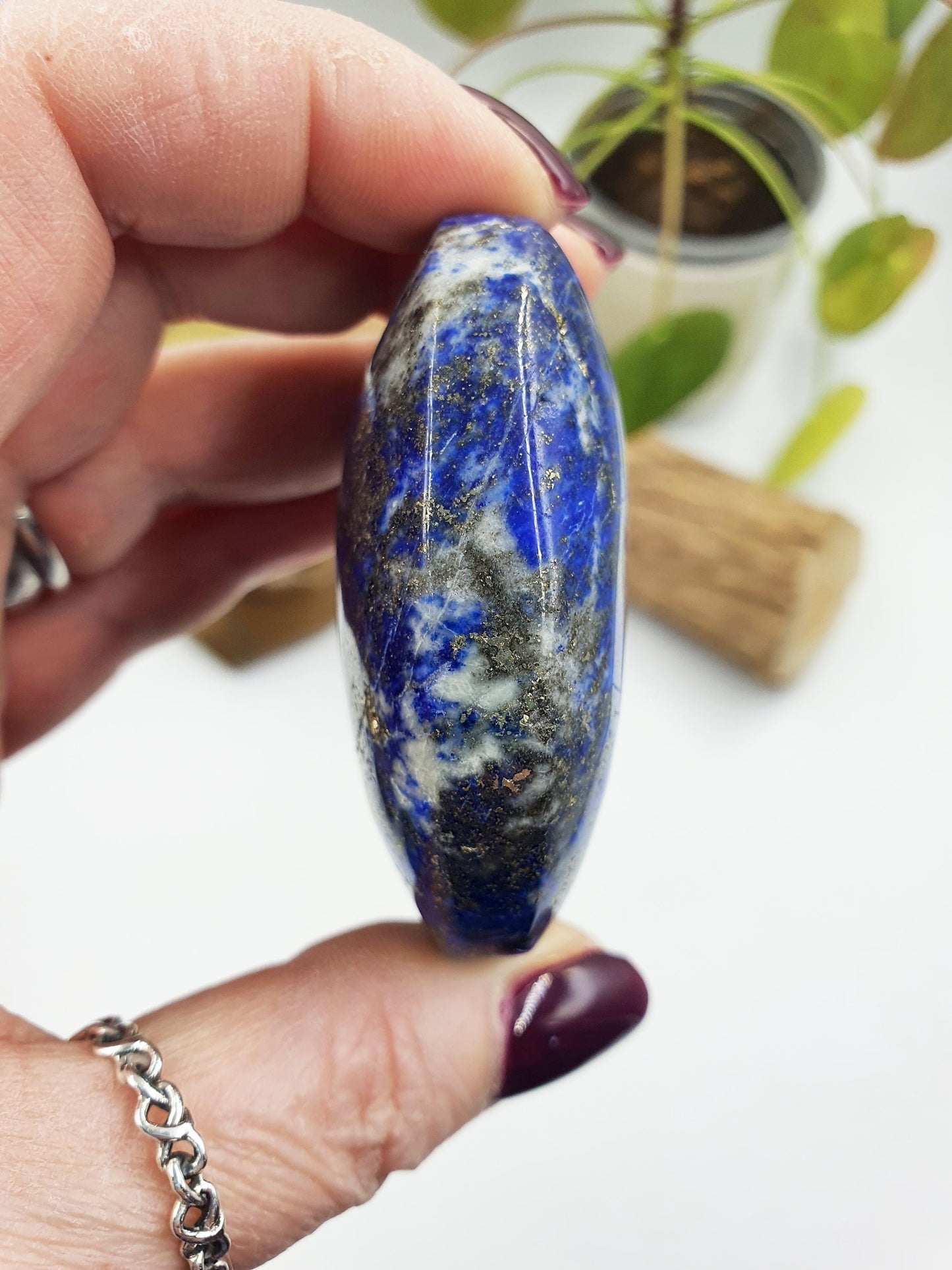 Large Lapis Lazuli Palm
