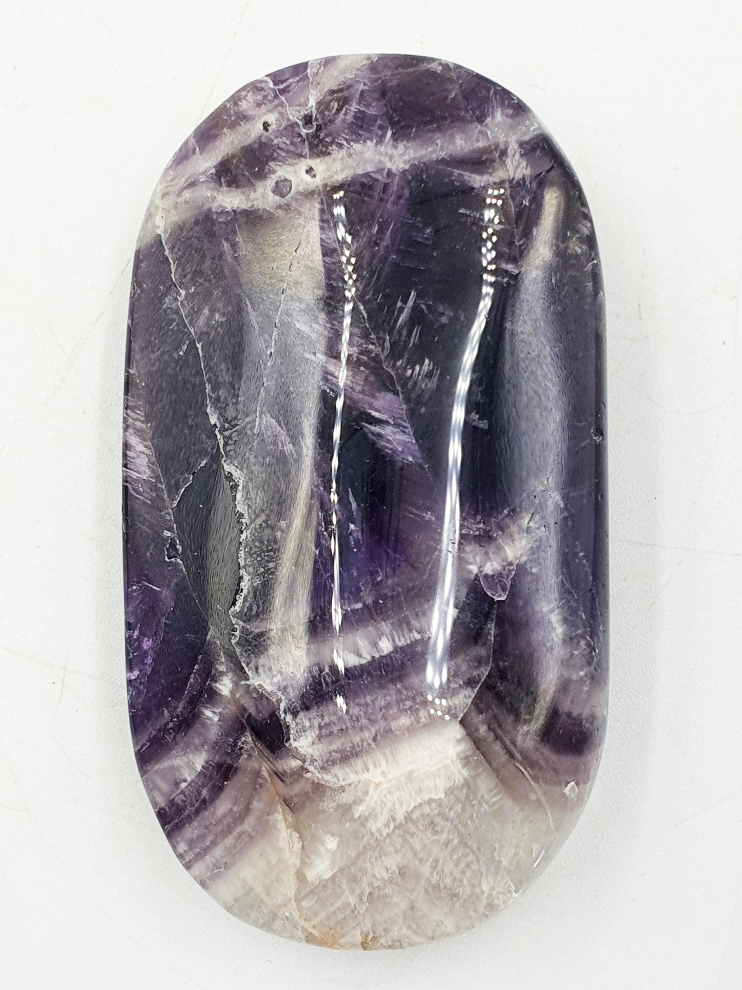 Dream Amethyst Palm