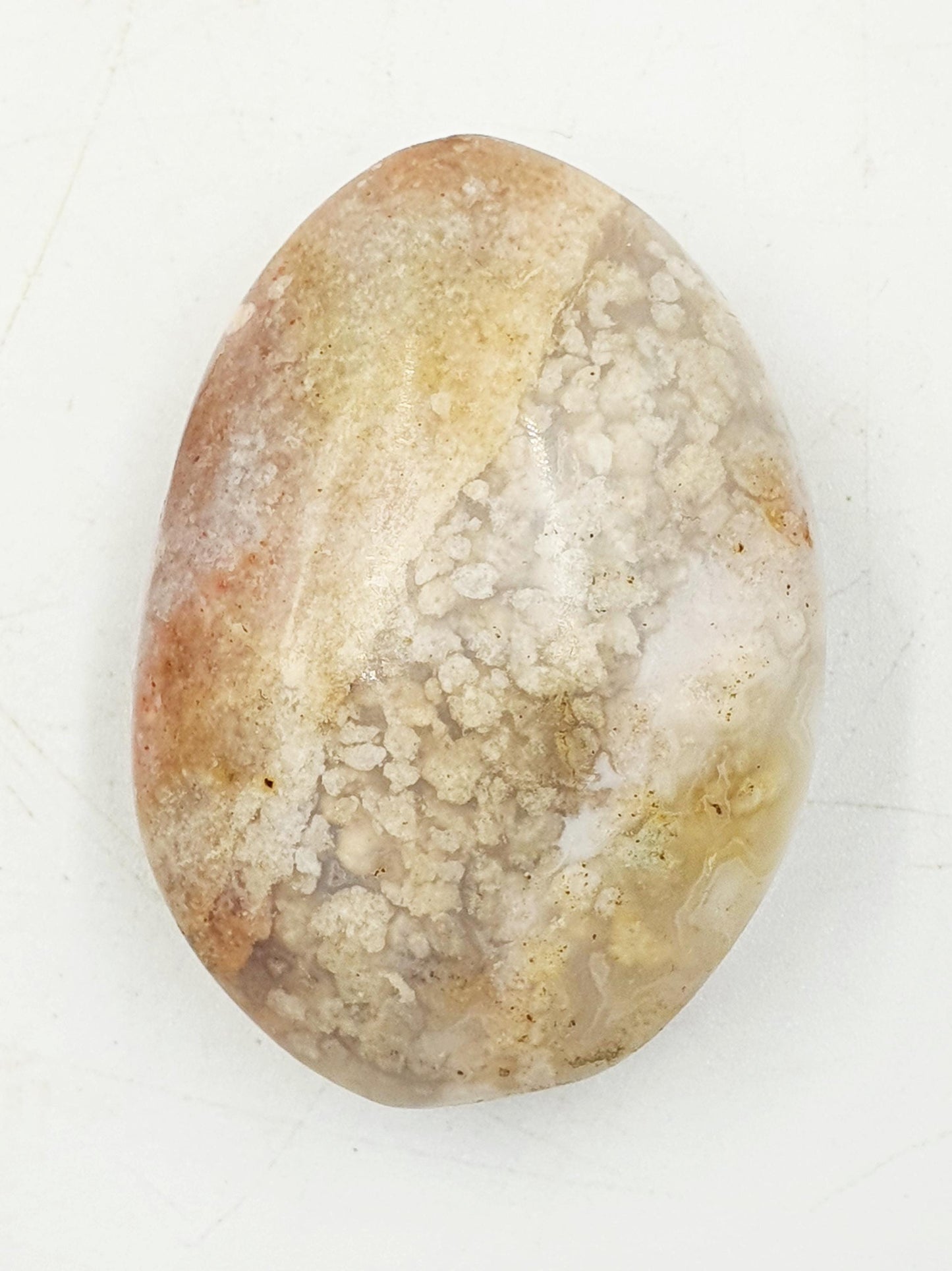 Unique Ocean Jasper Palm
