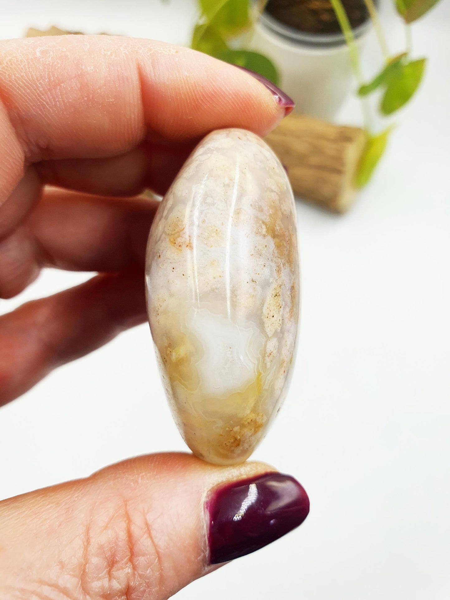 Unique Ocean Jasper Palm