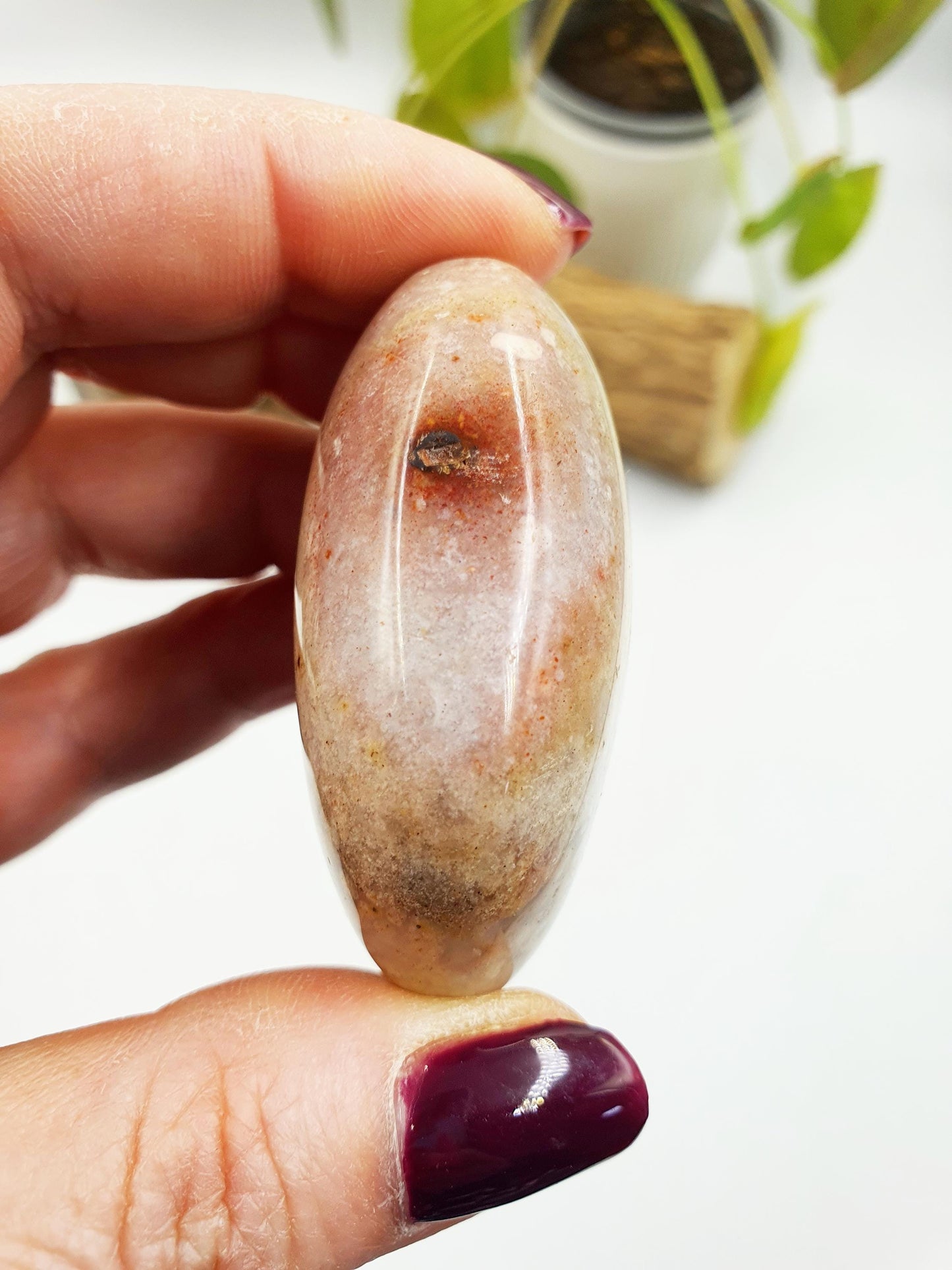 Unique Ocean Jasper Palm