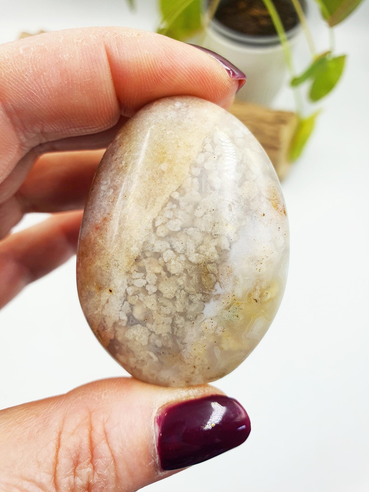 Unique Ocean Jasper Palm
