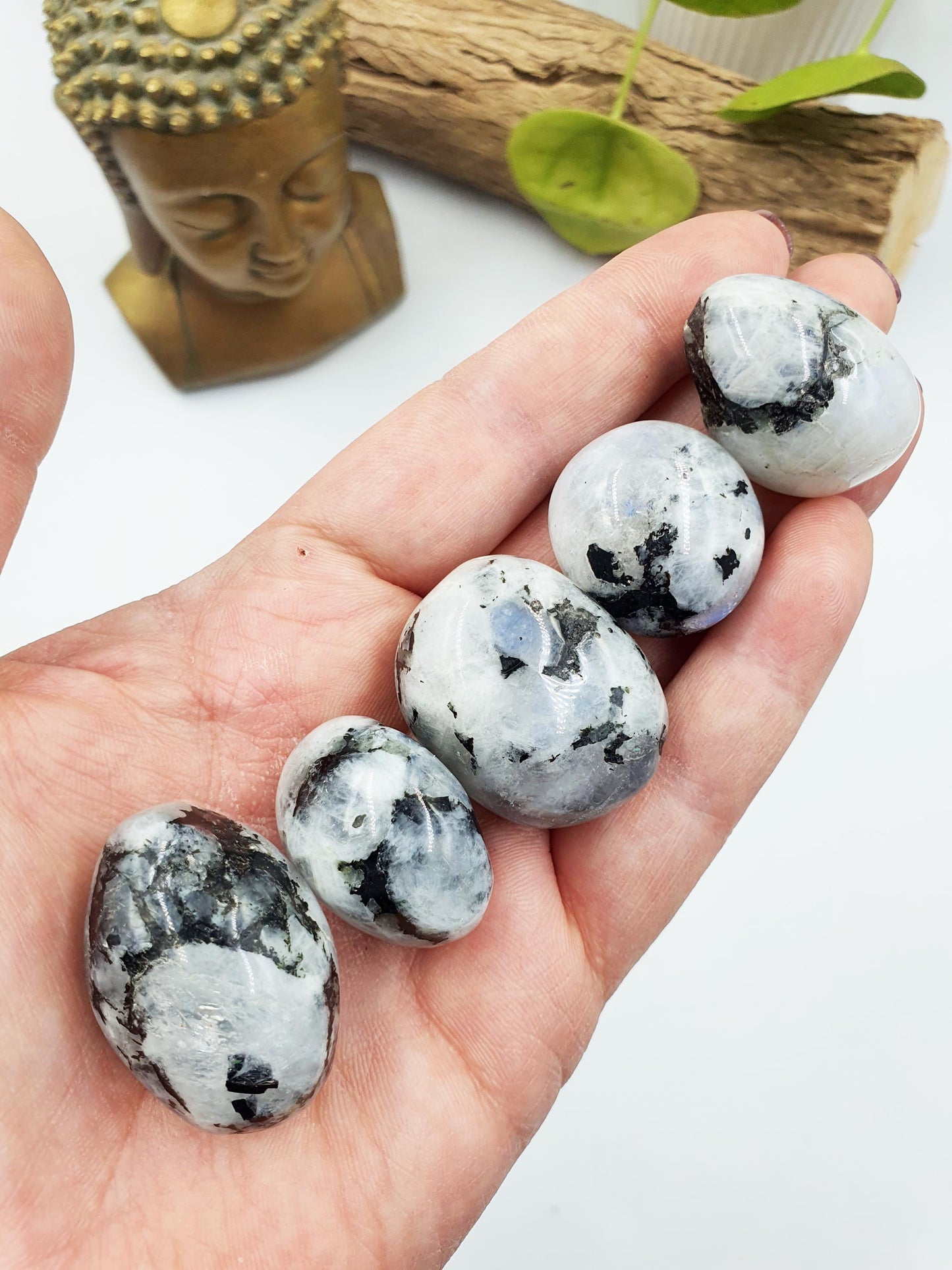 Flashy Rainbow Moonstone Tumbles