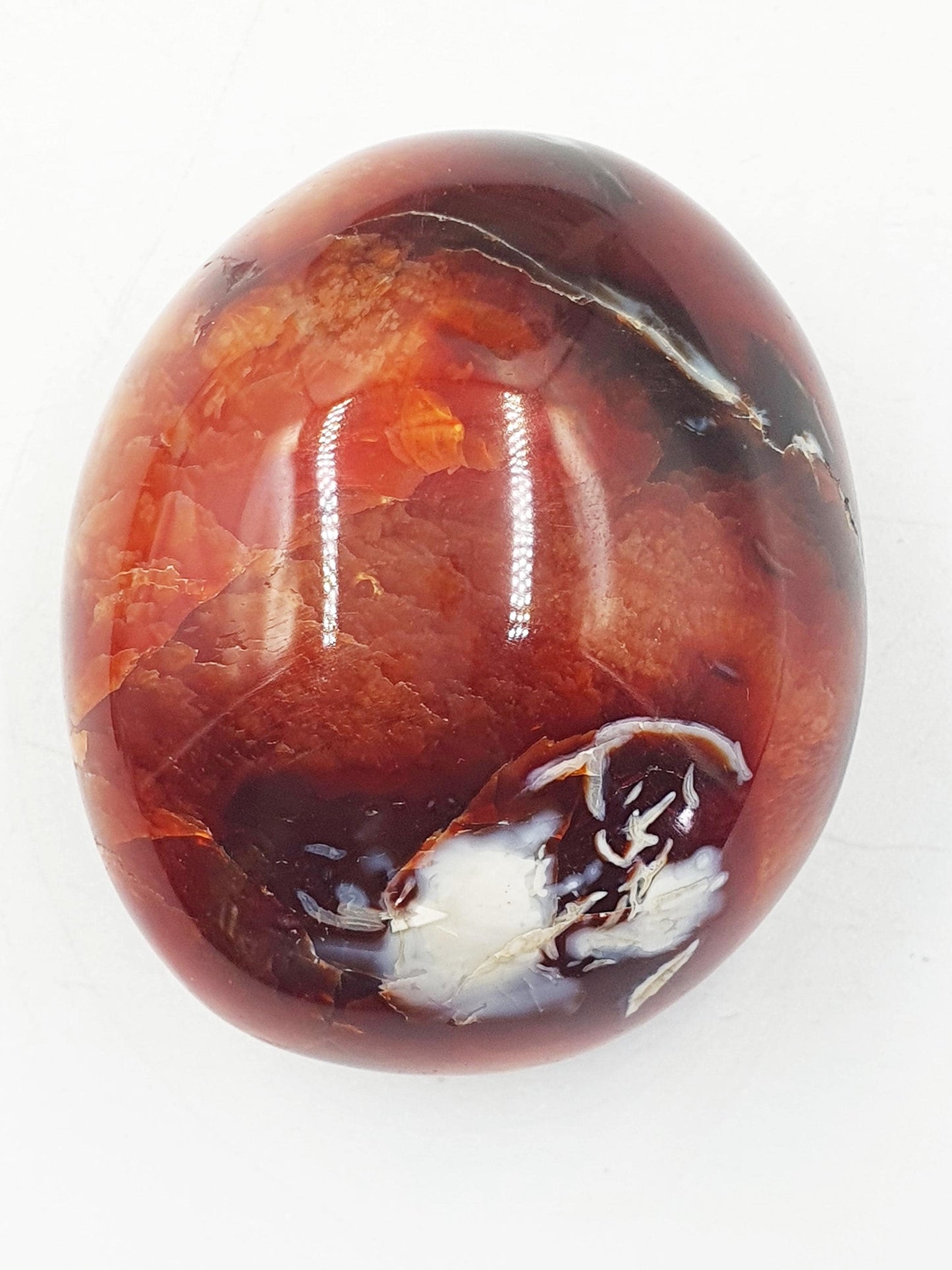 Carnelian Palm