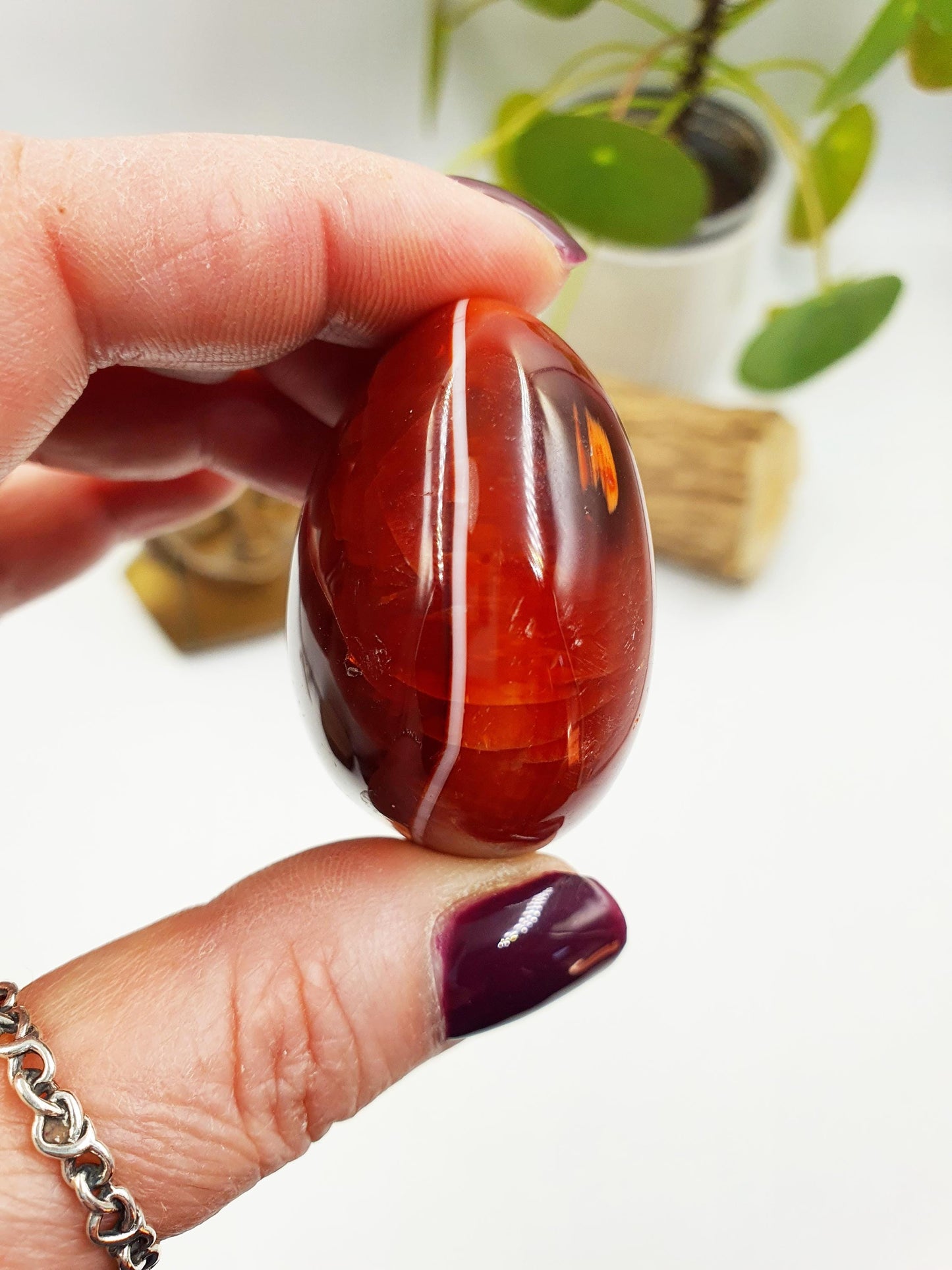 Carnelian Palm