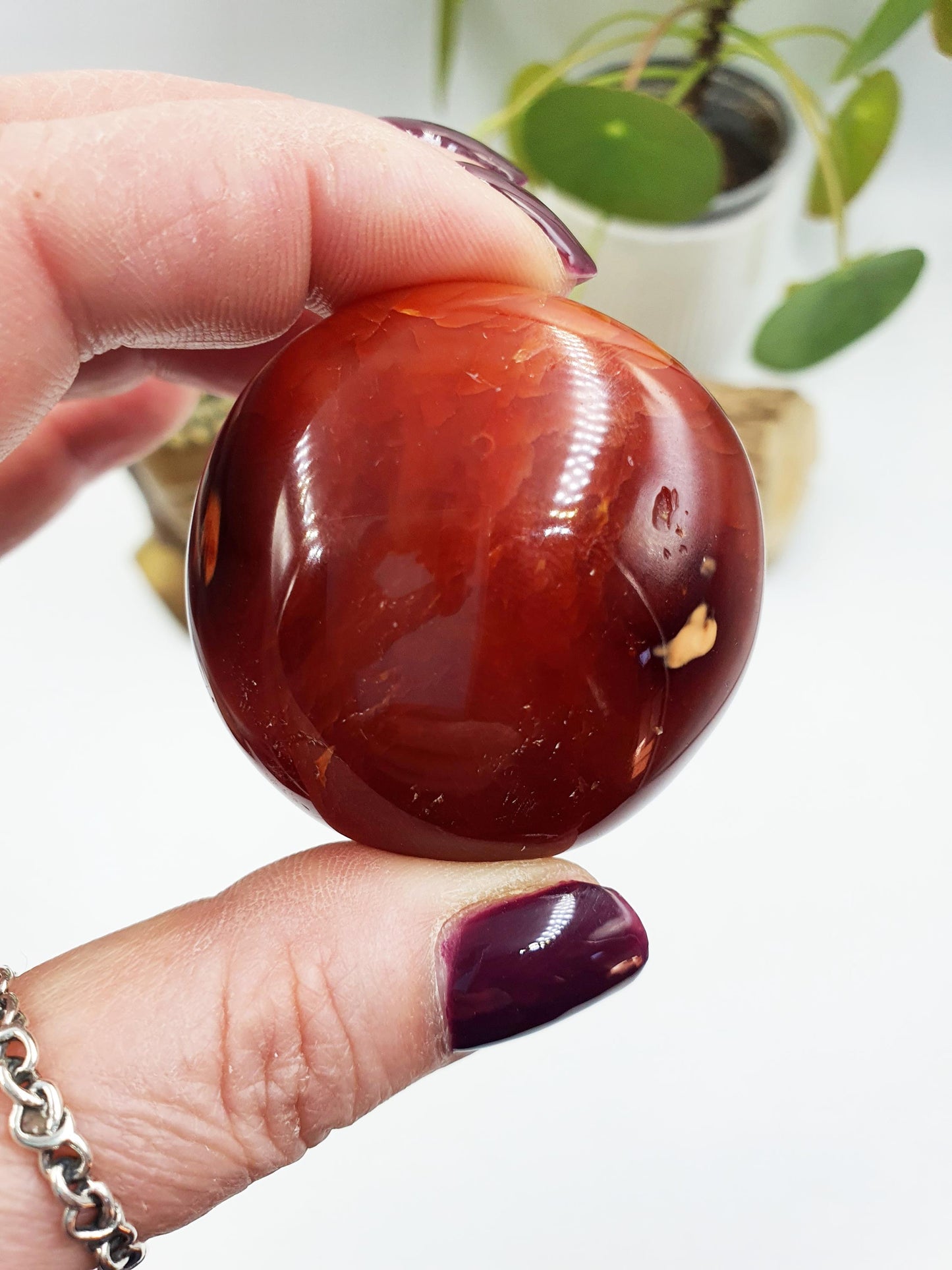 Carnelian Palm