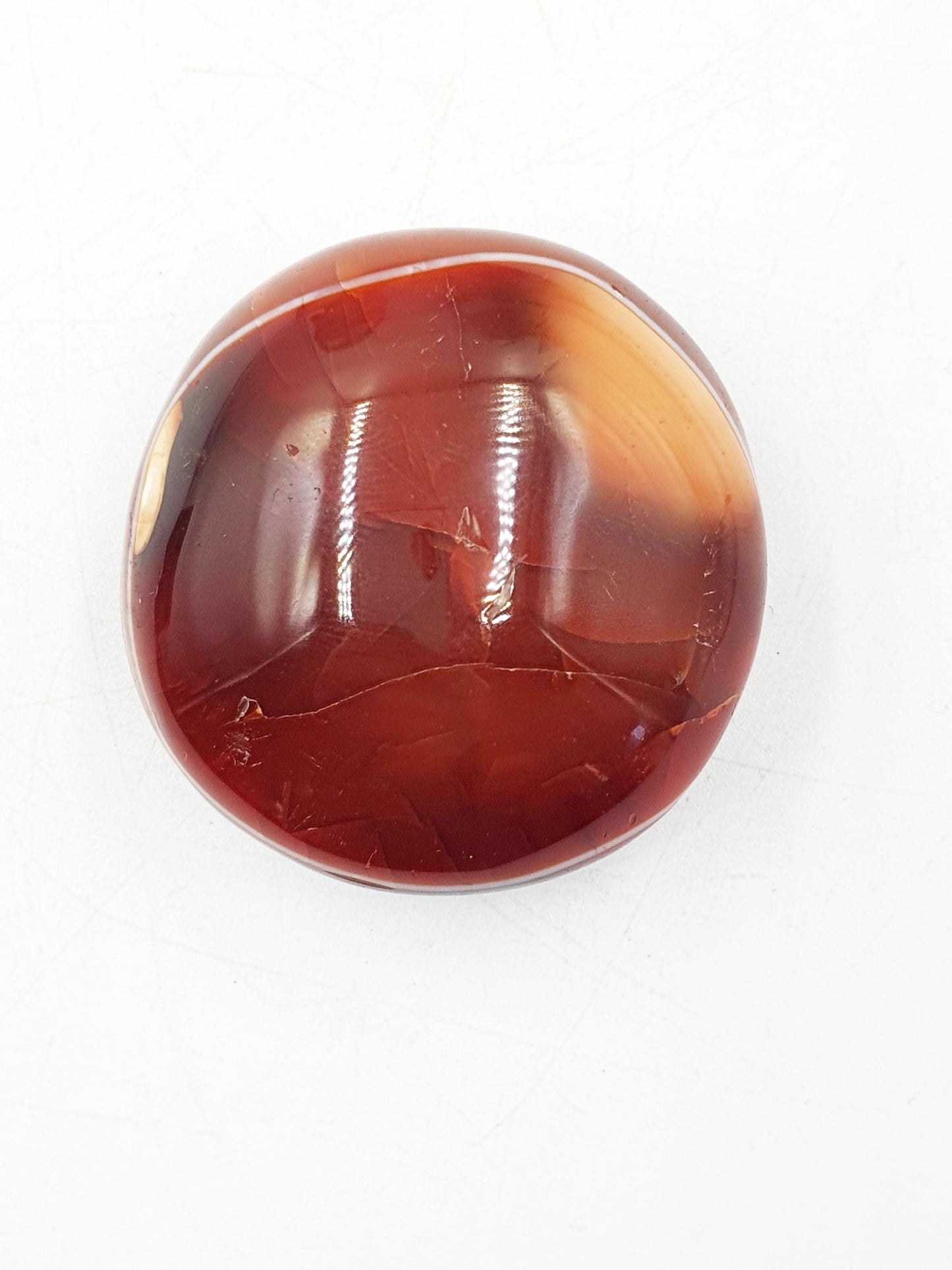Carnelian Palm