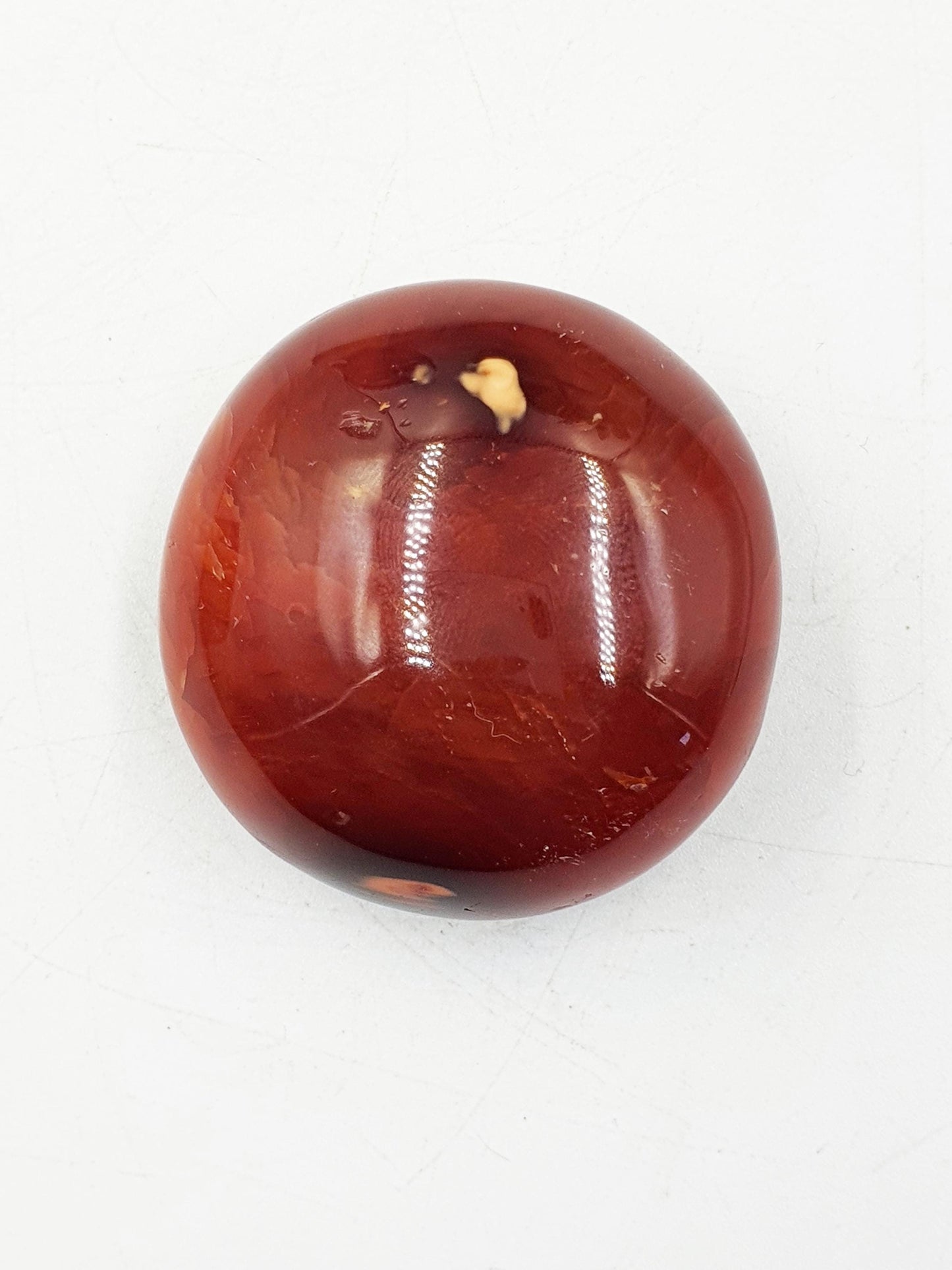 Carnelian Palm