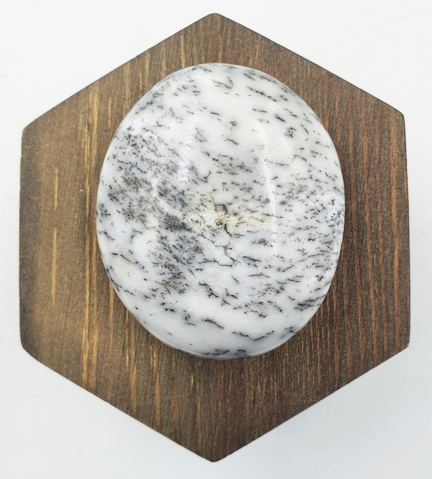 Dendritic Opal Palm