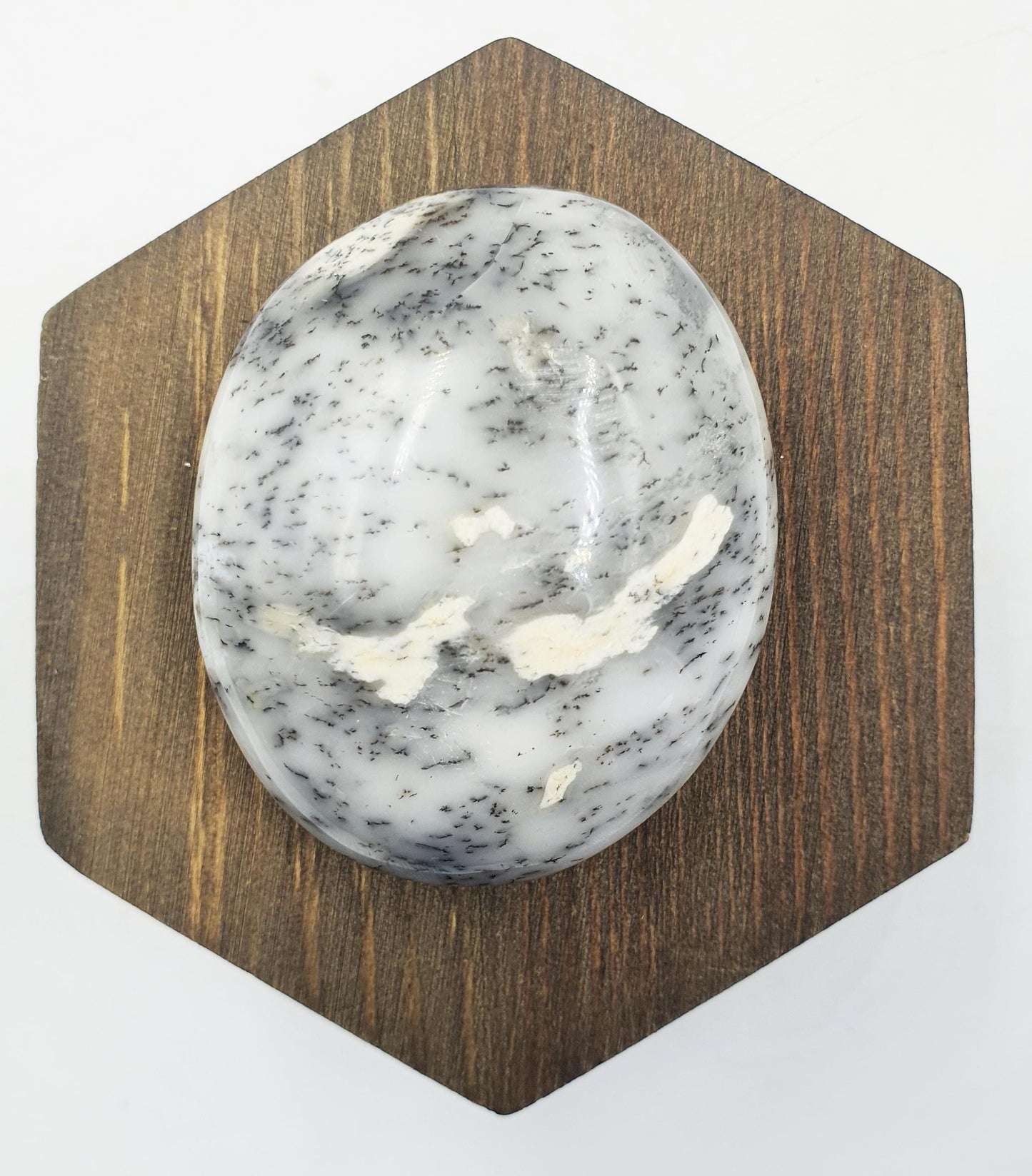 Dendritic Opal Palm