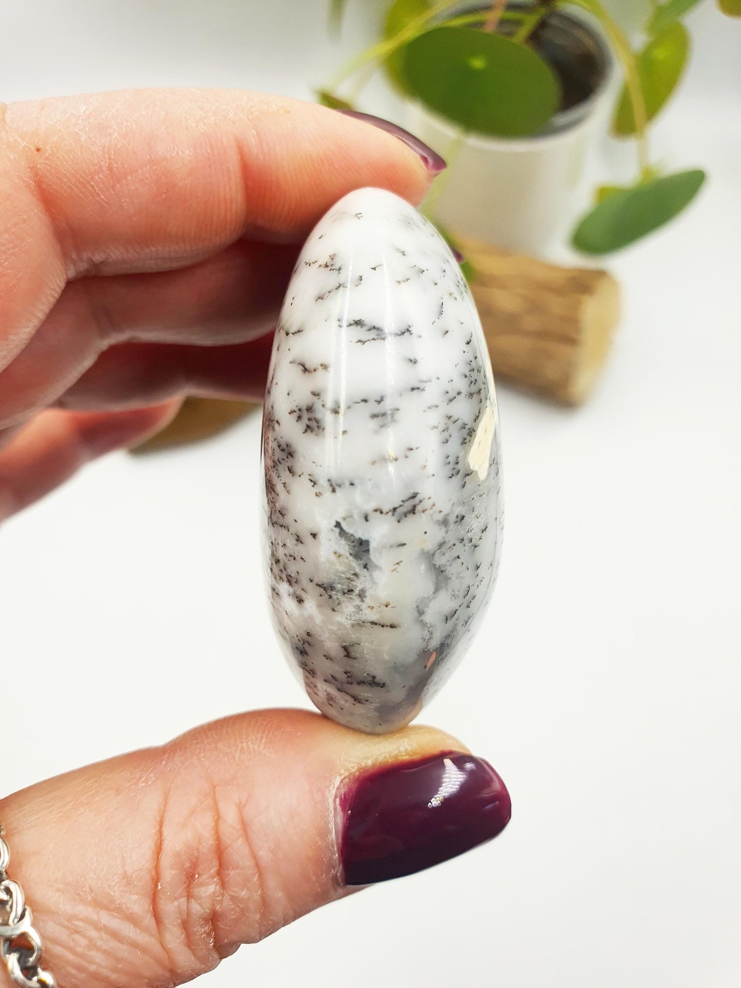 Dendritic Opal Palm