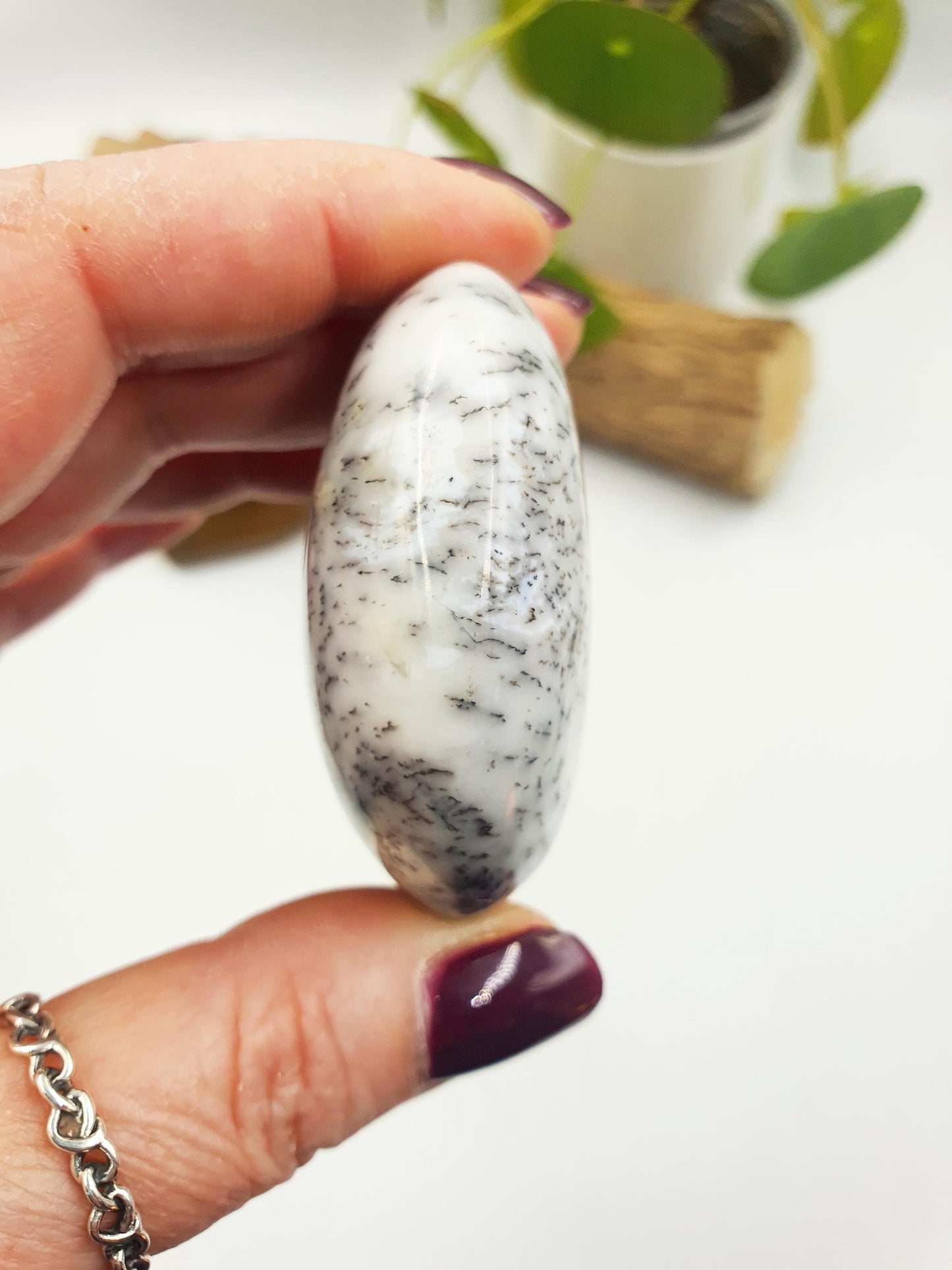 Dendritic Opal Palm