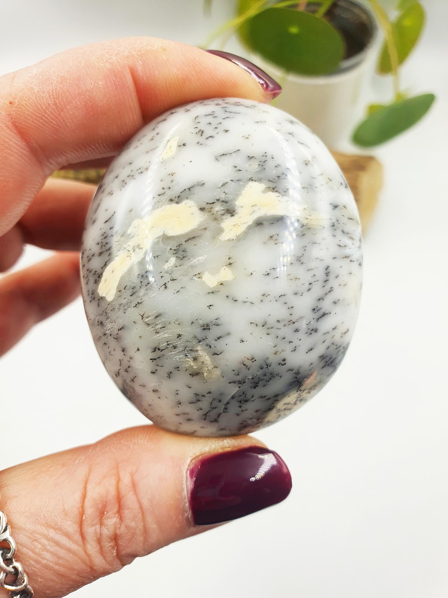 Dendritic Opal Palm