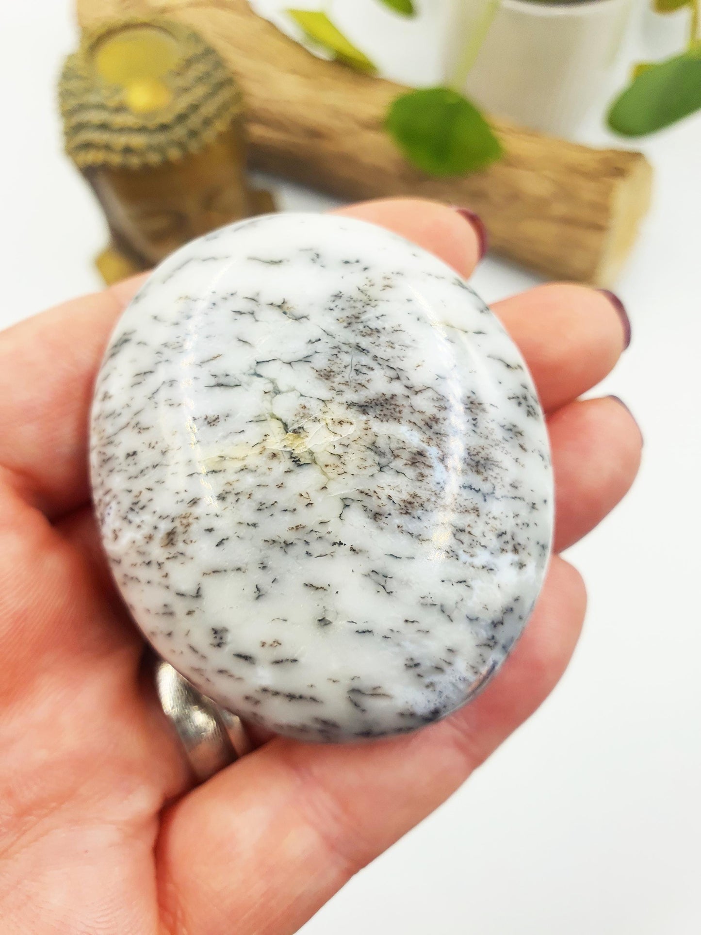 Dendritic Opal Palm