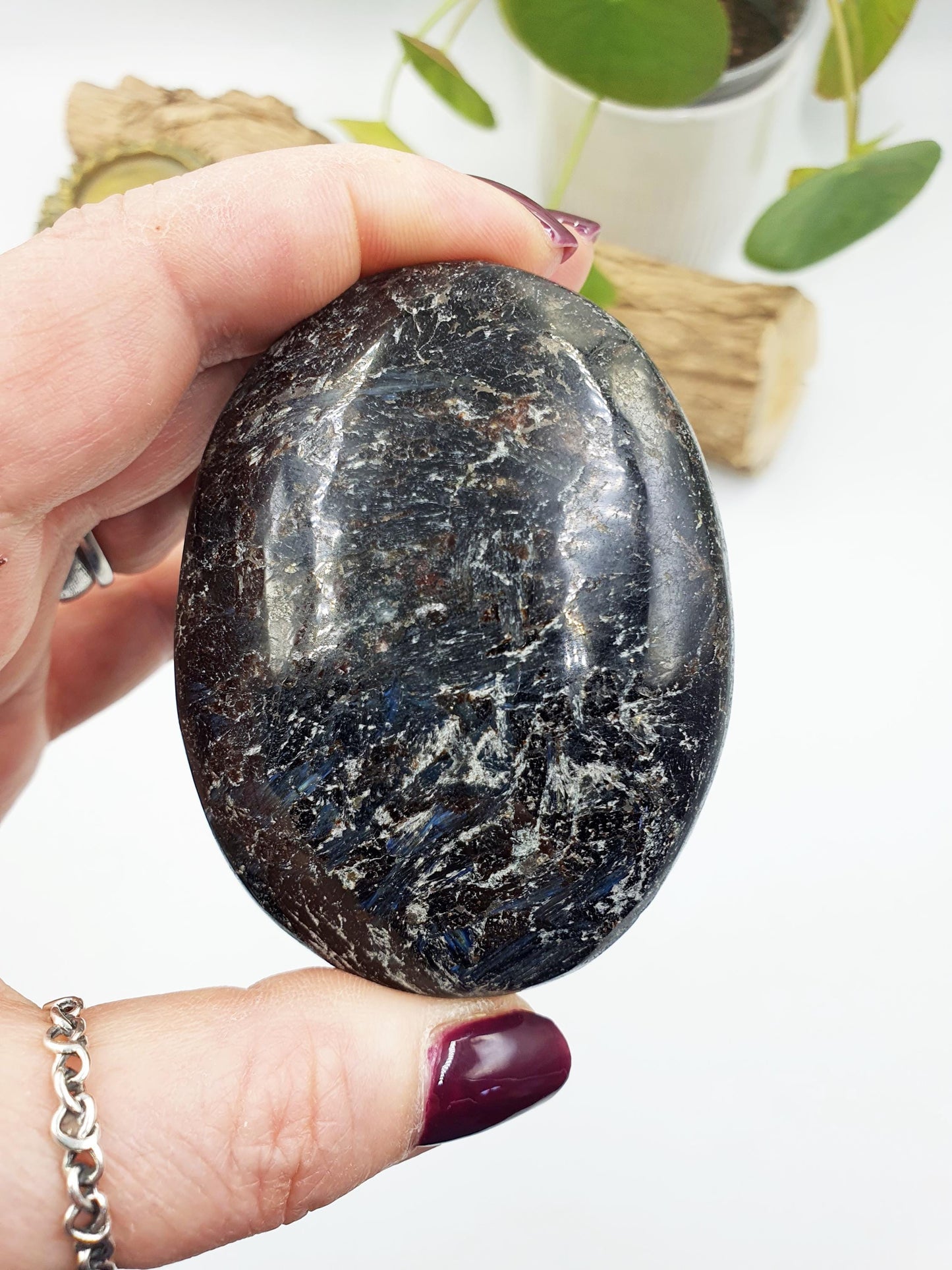 Astrophyllite and Garnet Palm