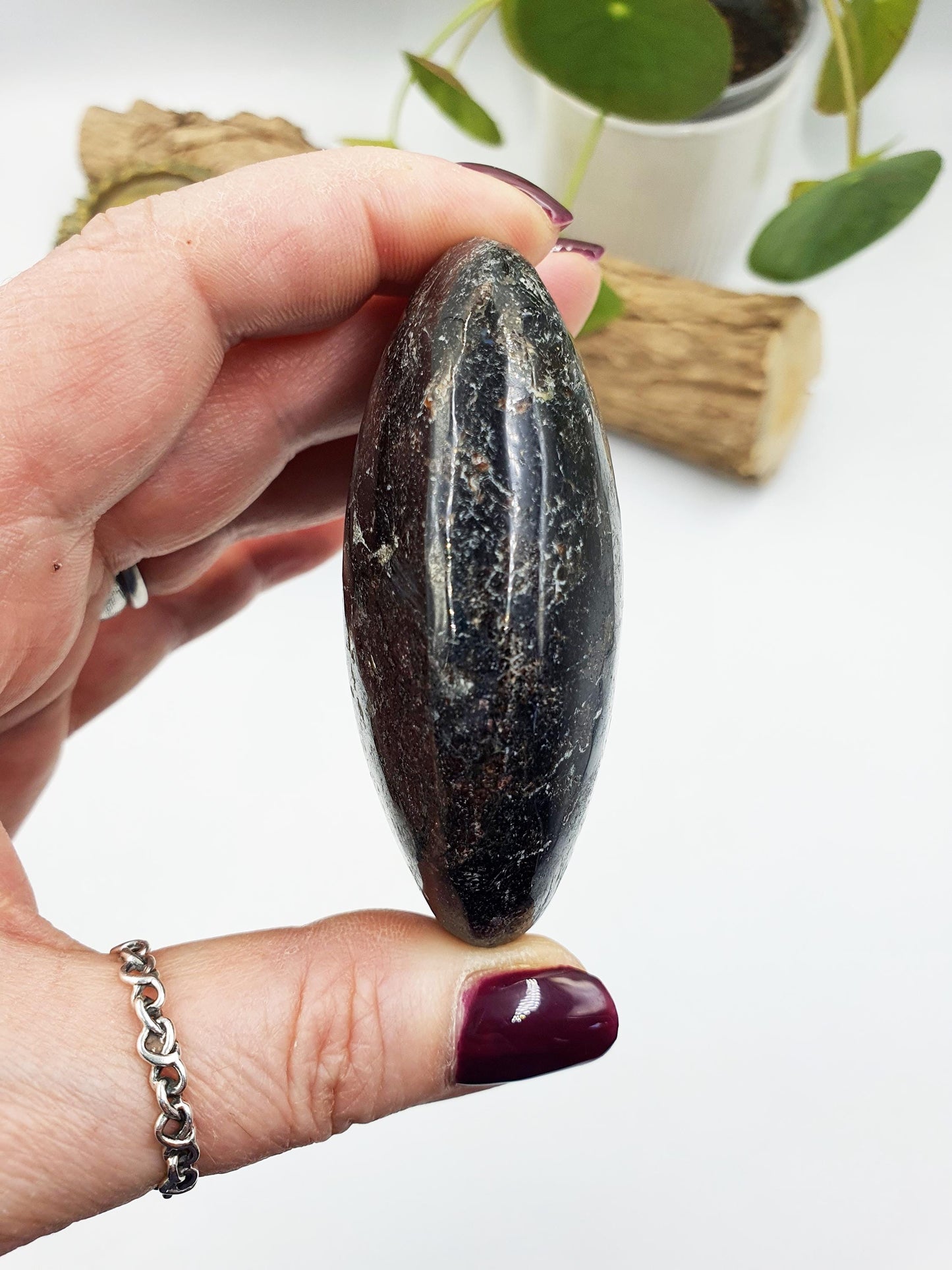 Astrophyllite and Garnet Palm