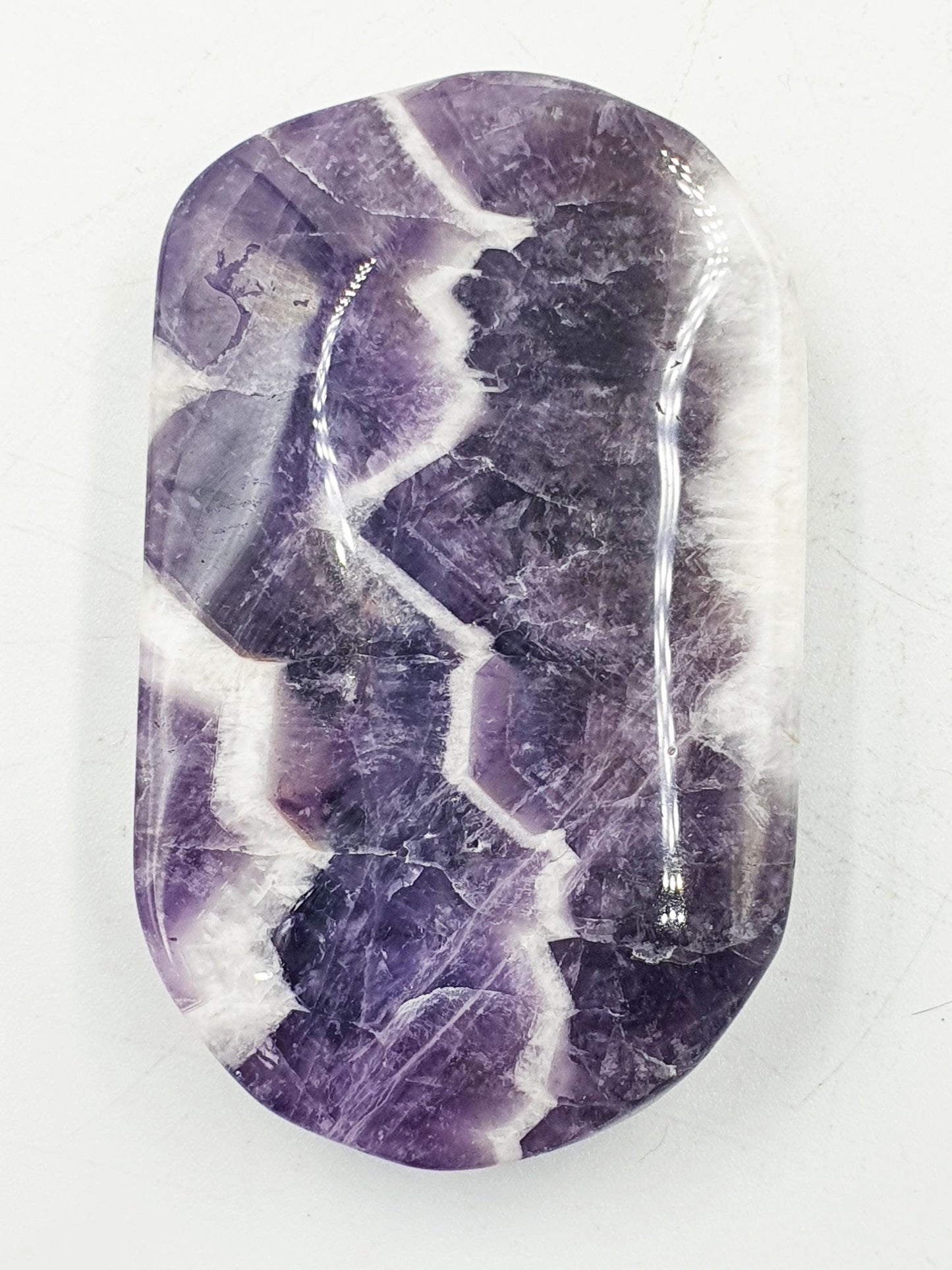 Dream Amethyst Palm