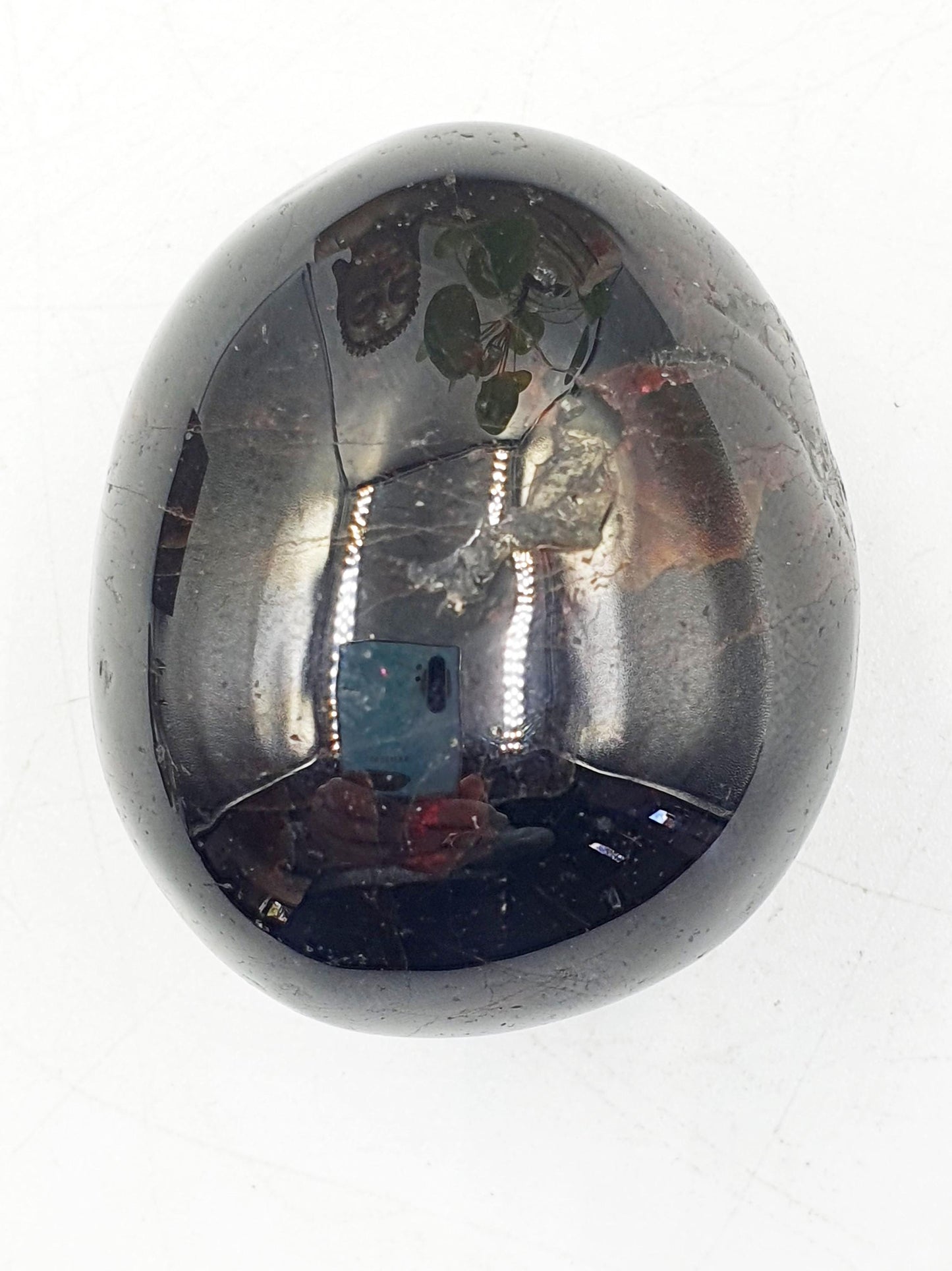 Large Garnet Palm