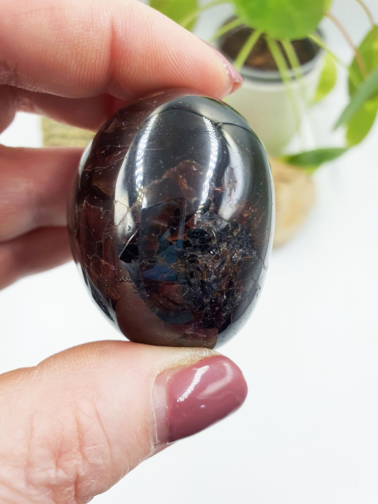 Large Garnet Palm