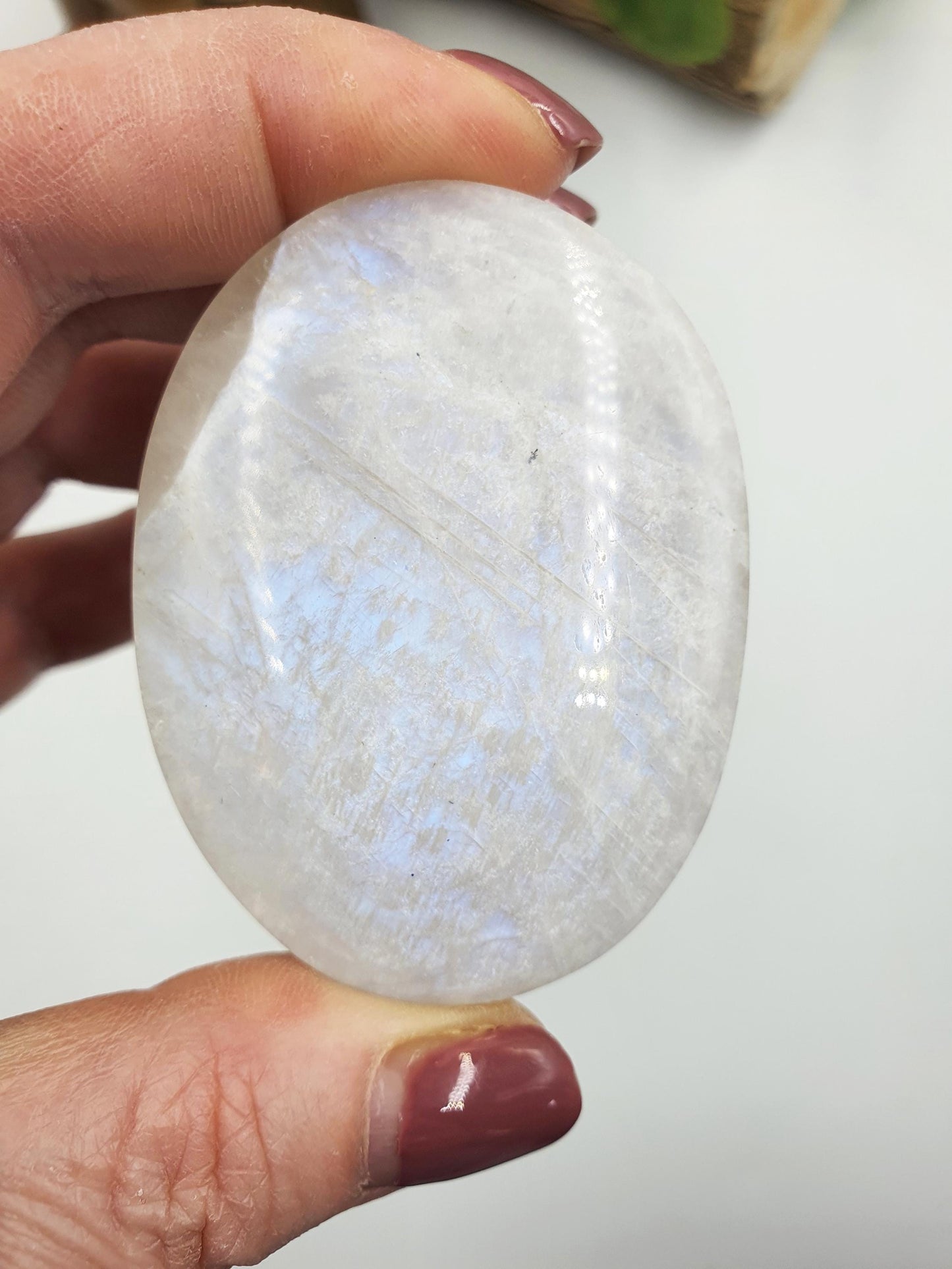 High Grade Flashy Blue Moonstone Palm
