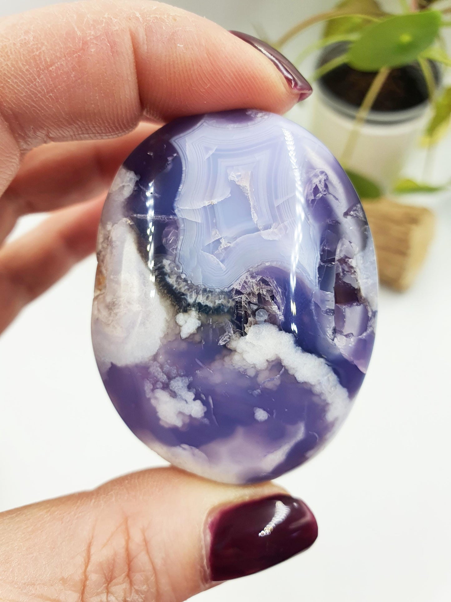 Blue Flower Agate Palm