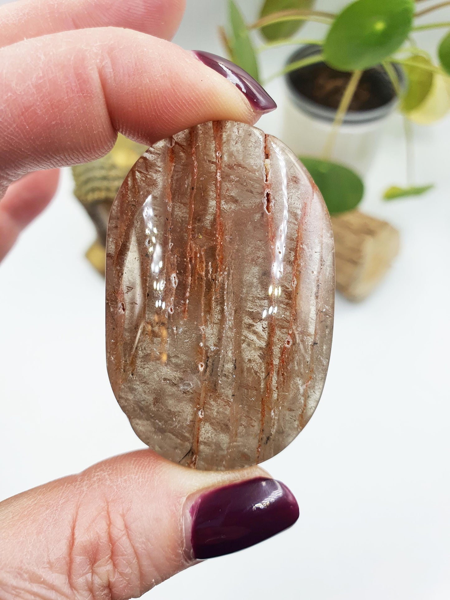 High Grade Sparkly Thousand Layer Palm with rainbow - Thoudand Layer (Lodolite) Palm Stone